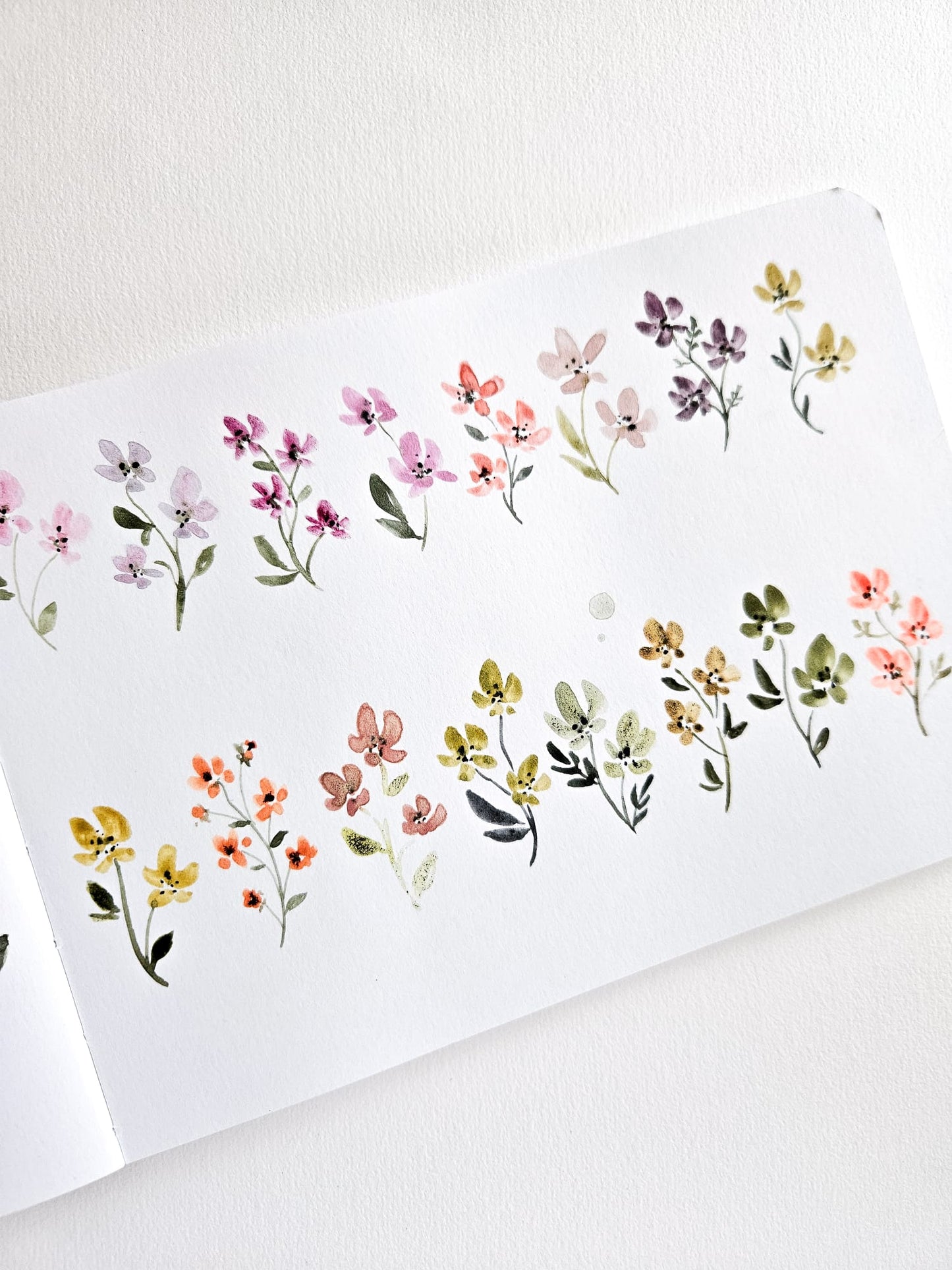 Summer Flowers 2025 - Öland