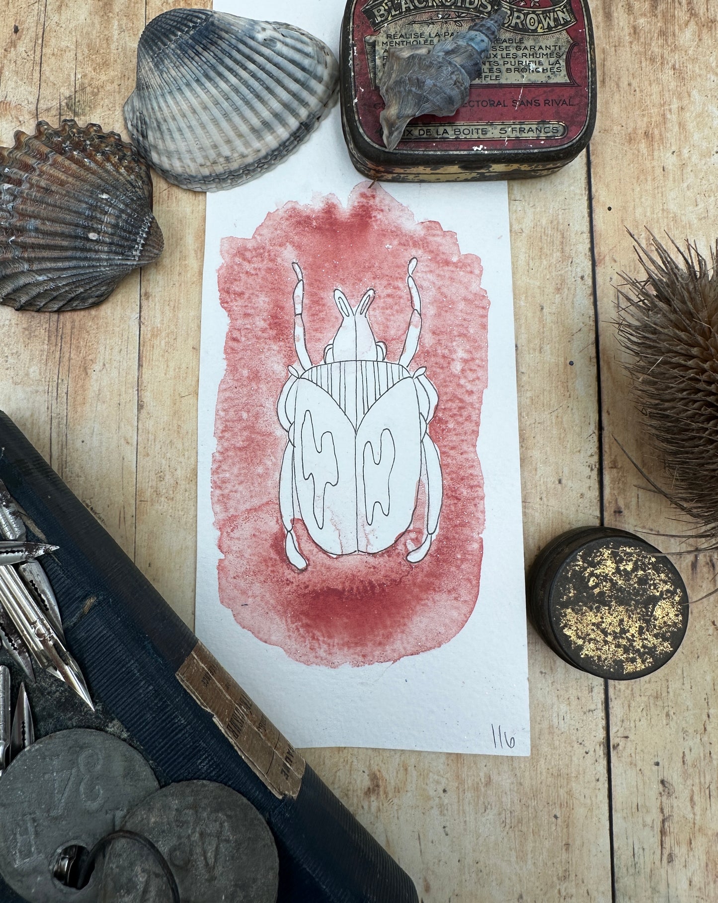 Coral Pink - No. 116