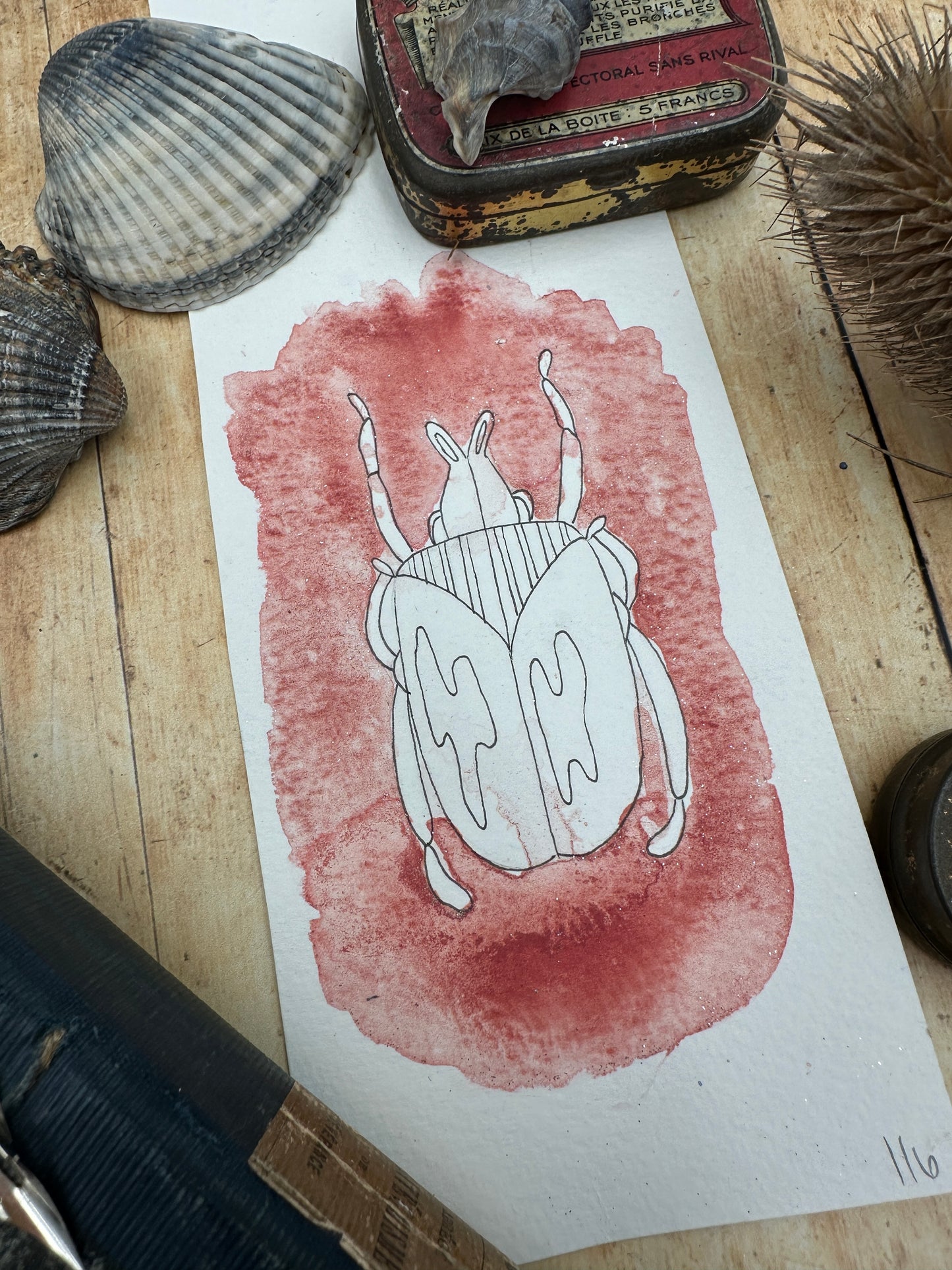 Coral Pink - No. 116