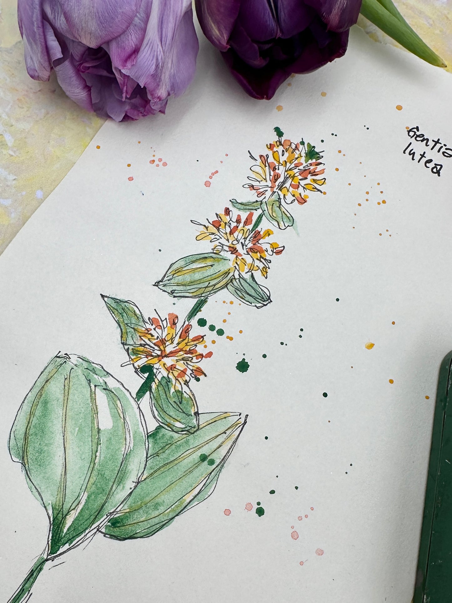 Pistachio Green - No. 13