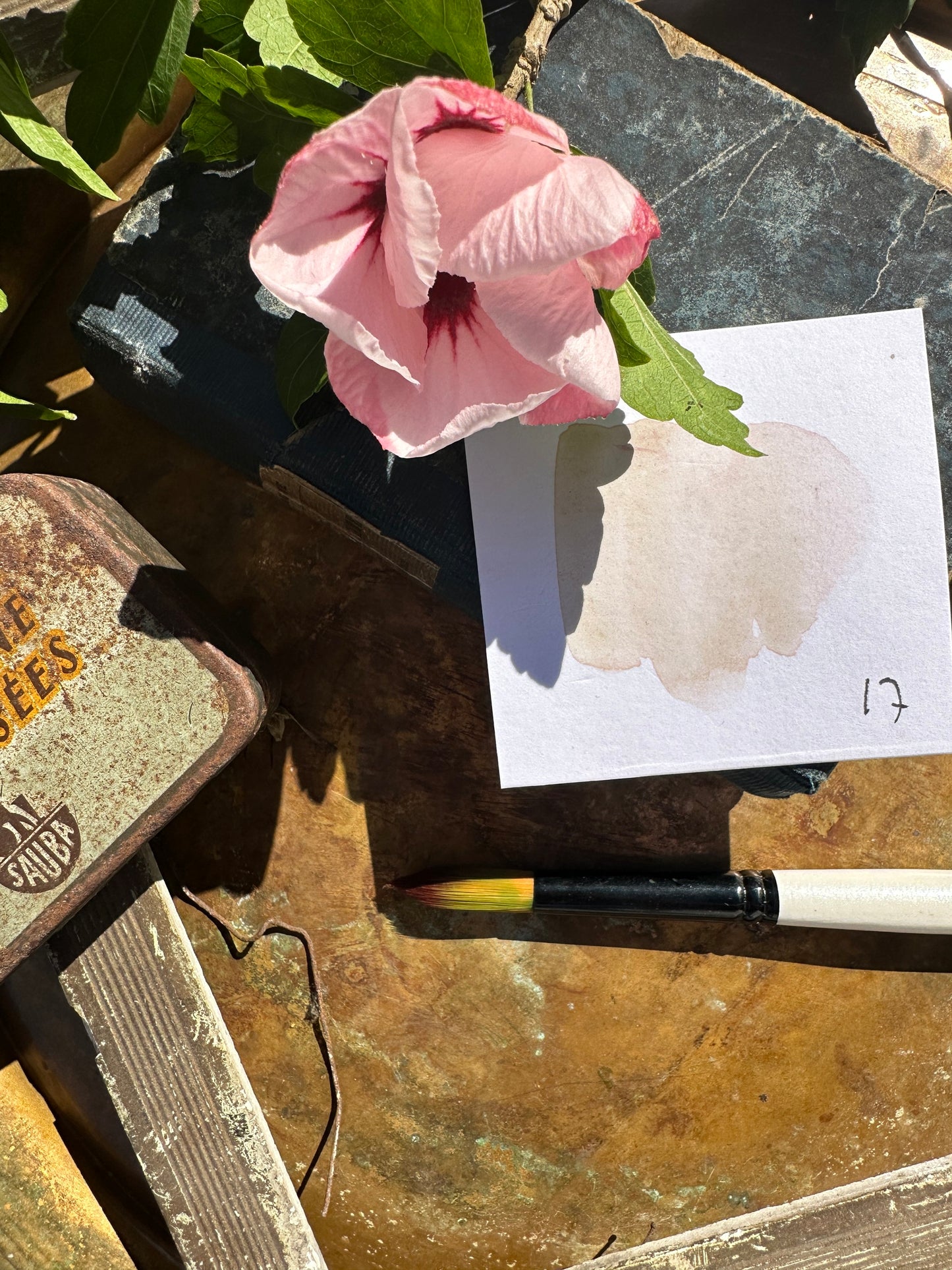 Light Olive - No. 17-SQ5275207