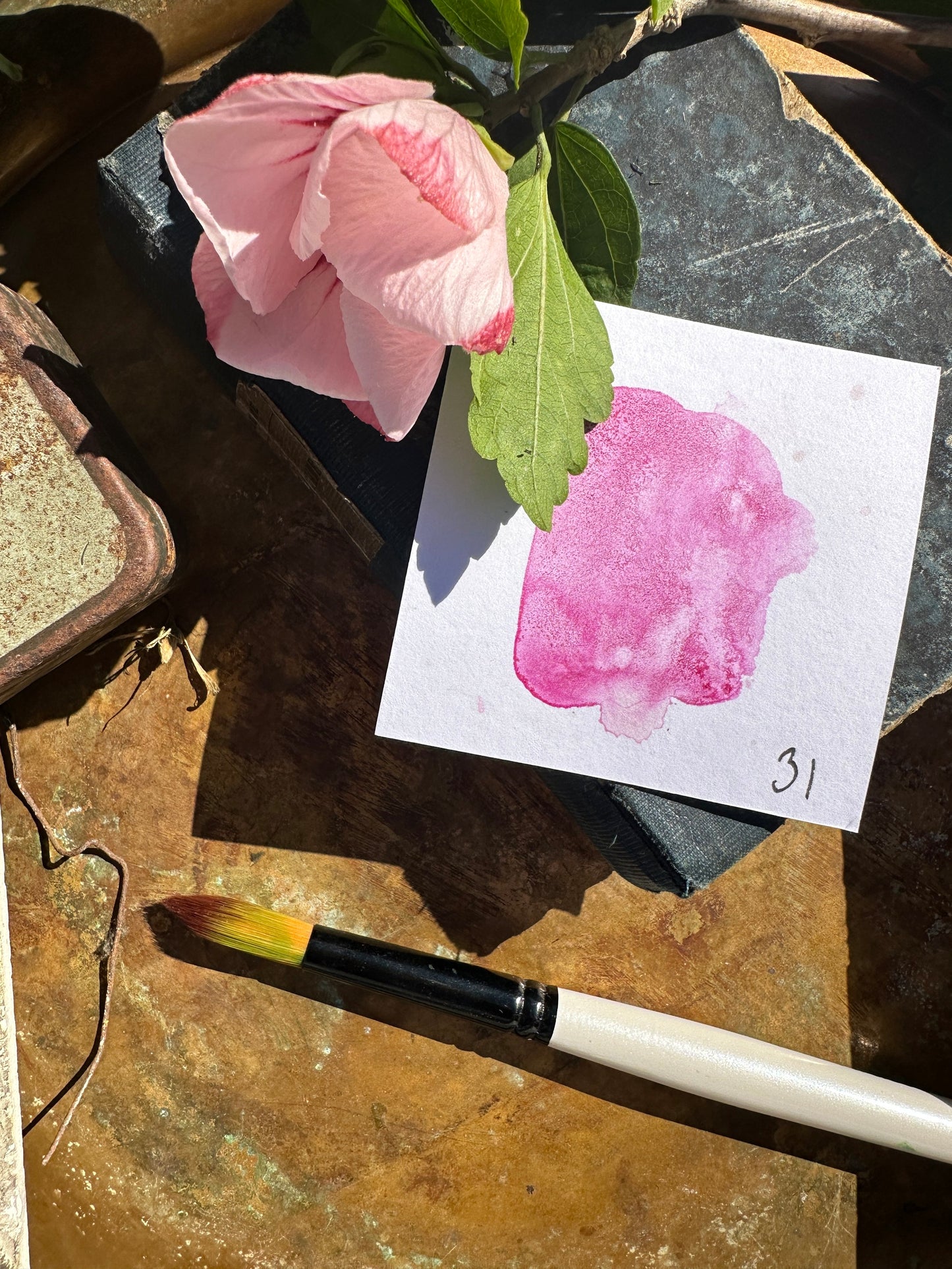 Magenta Pink - No. 31-SQ3570763