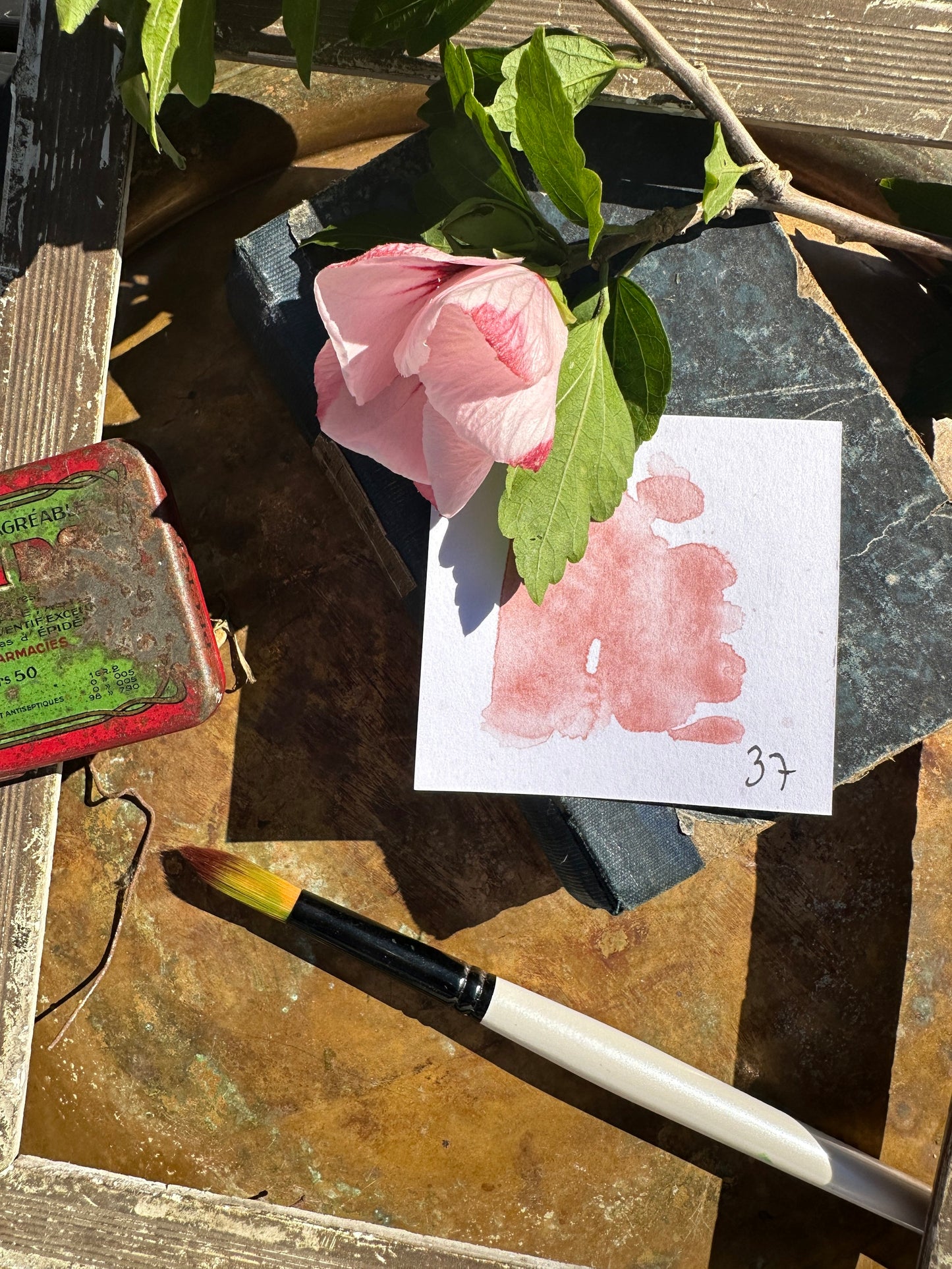 Italian Red - No. 37-SQ4169987