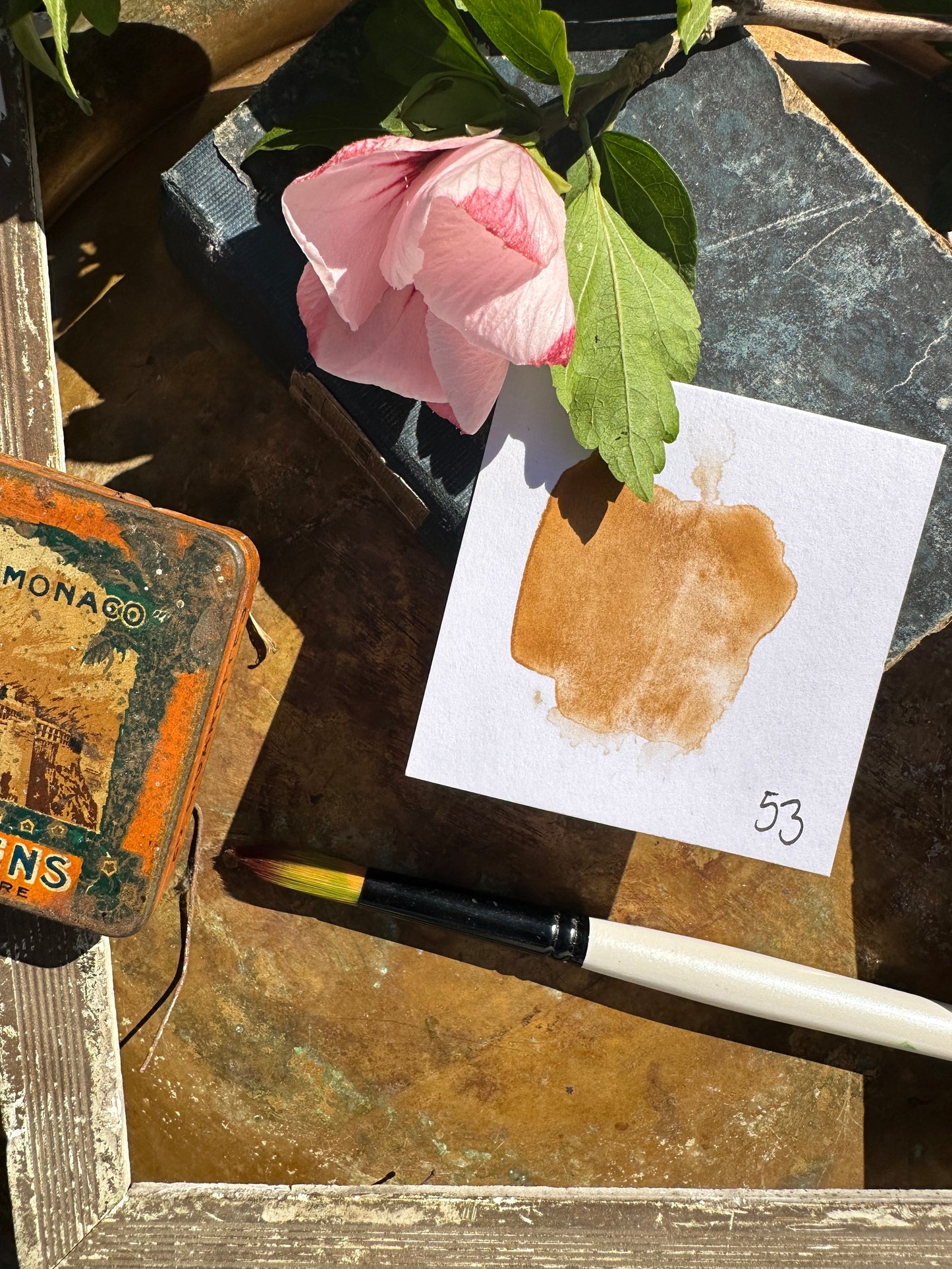 Raw Sienna (Terre di Sienna) - No. 53-SQ7974655