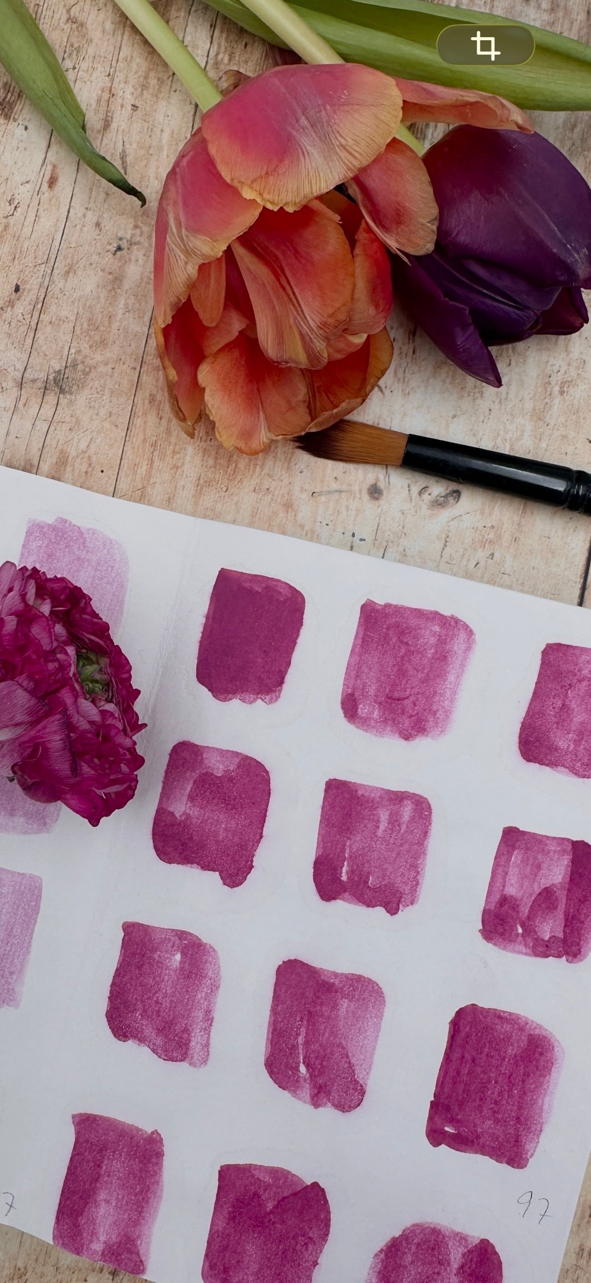 Floral Pink - No. 97