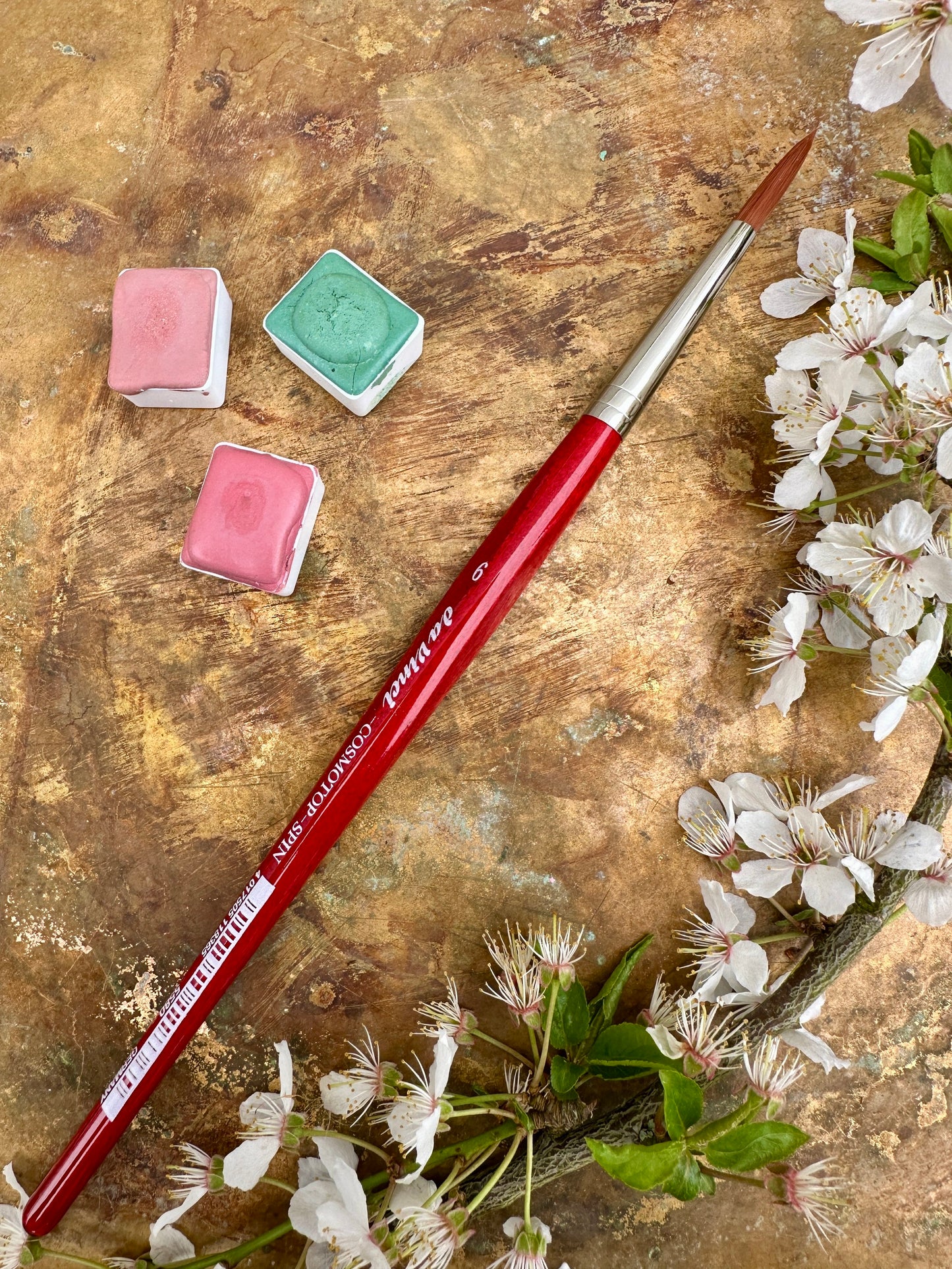 da Vinci Cosmotop-Spin, 5580 - size 6