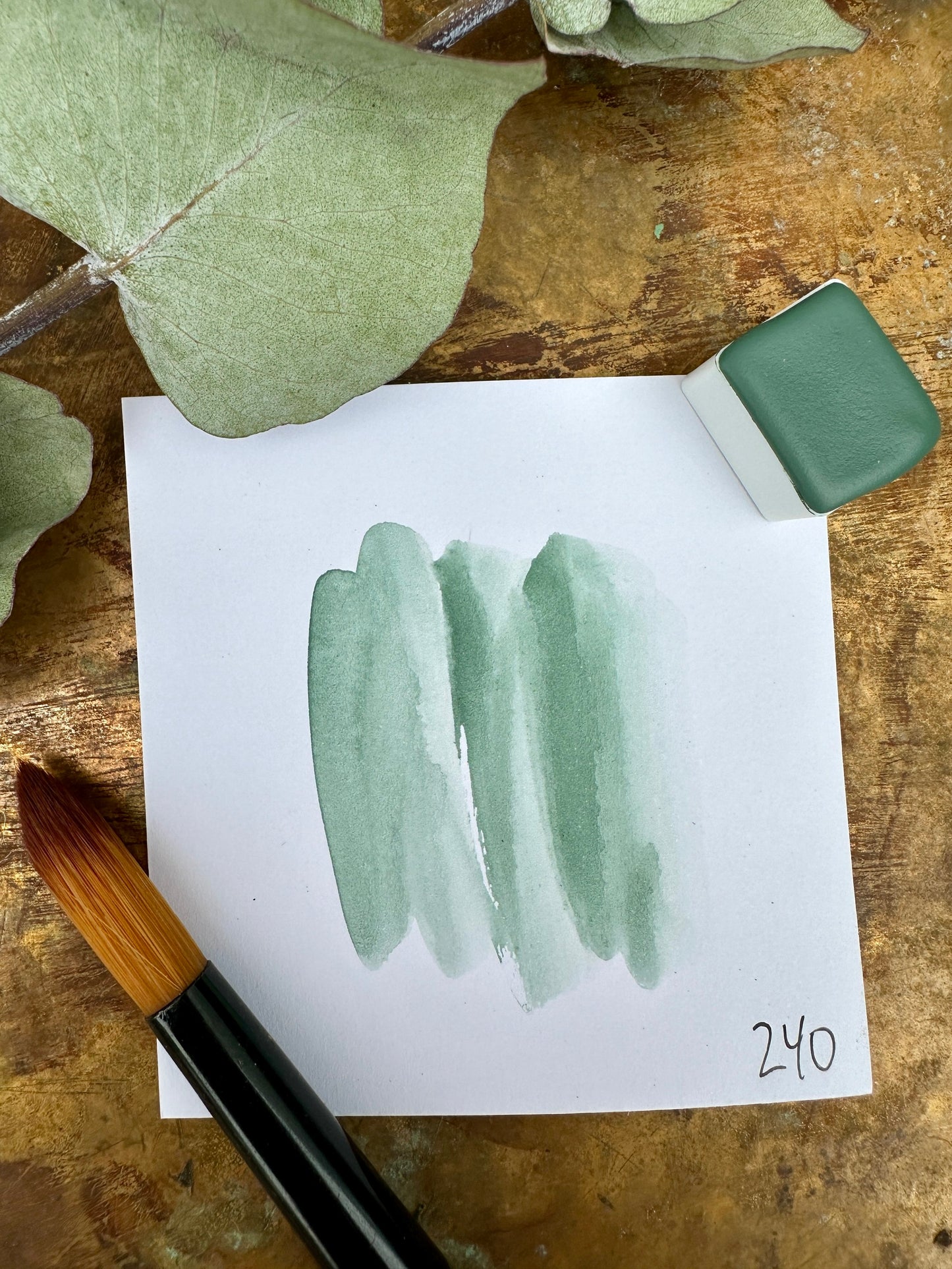 Euphoria - No. 240 - half pan