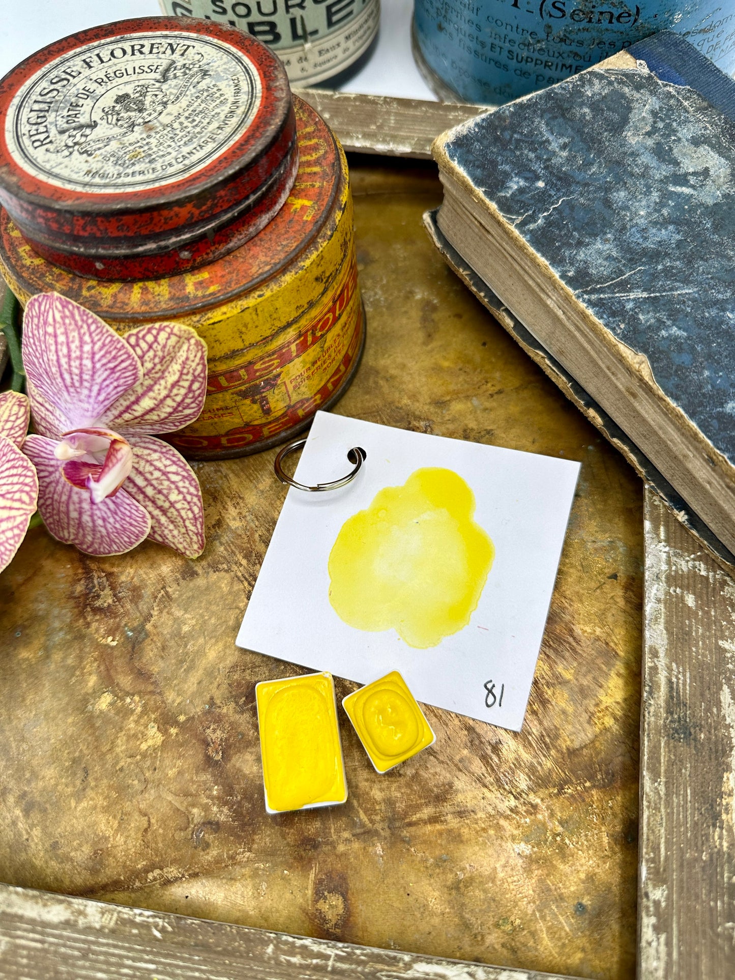 Yellow Rainbow - No. 81-SQ2001570