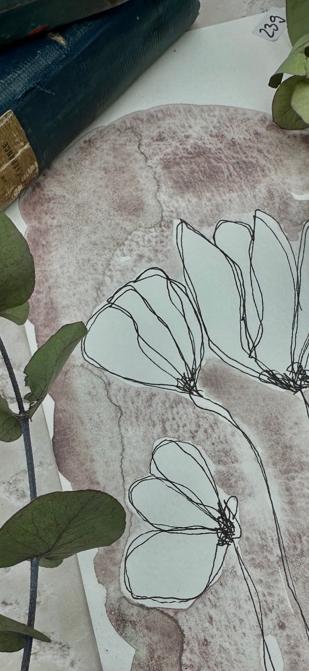 Bliss - No. 239 - half pan