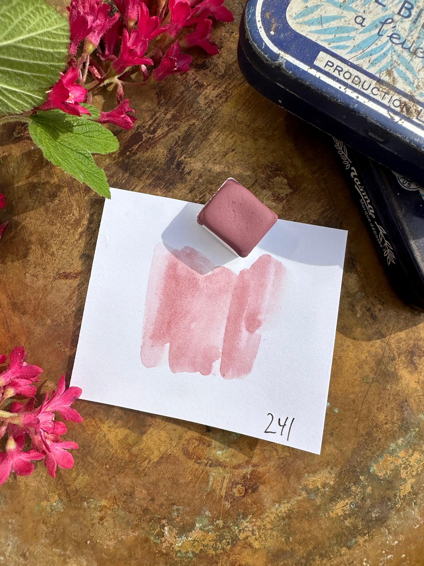 Delight - No. 241 - half pan