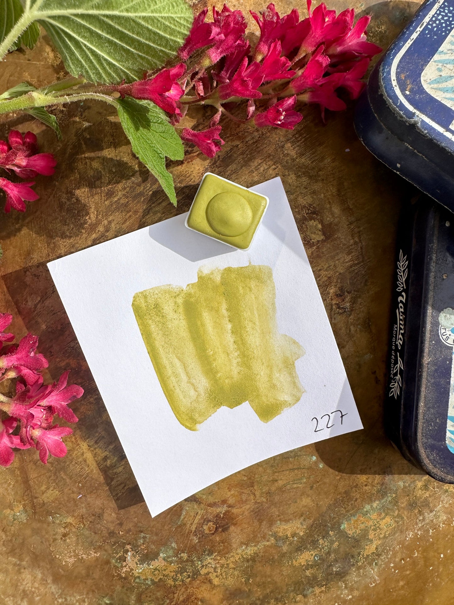 Spring Meadow - no. 227-SQ7782170