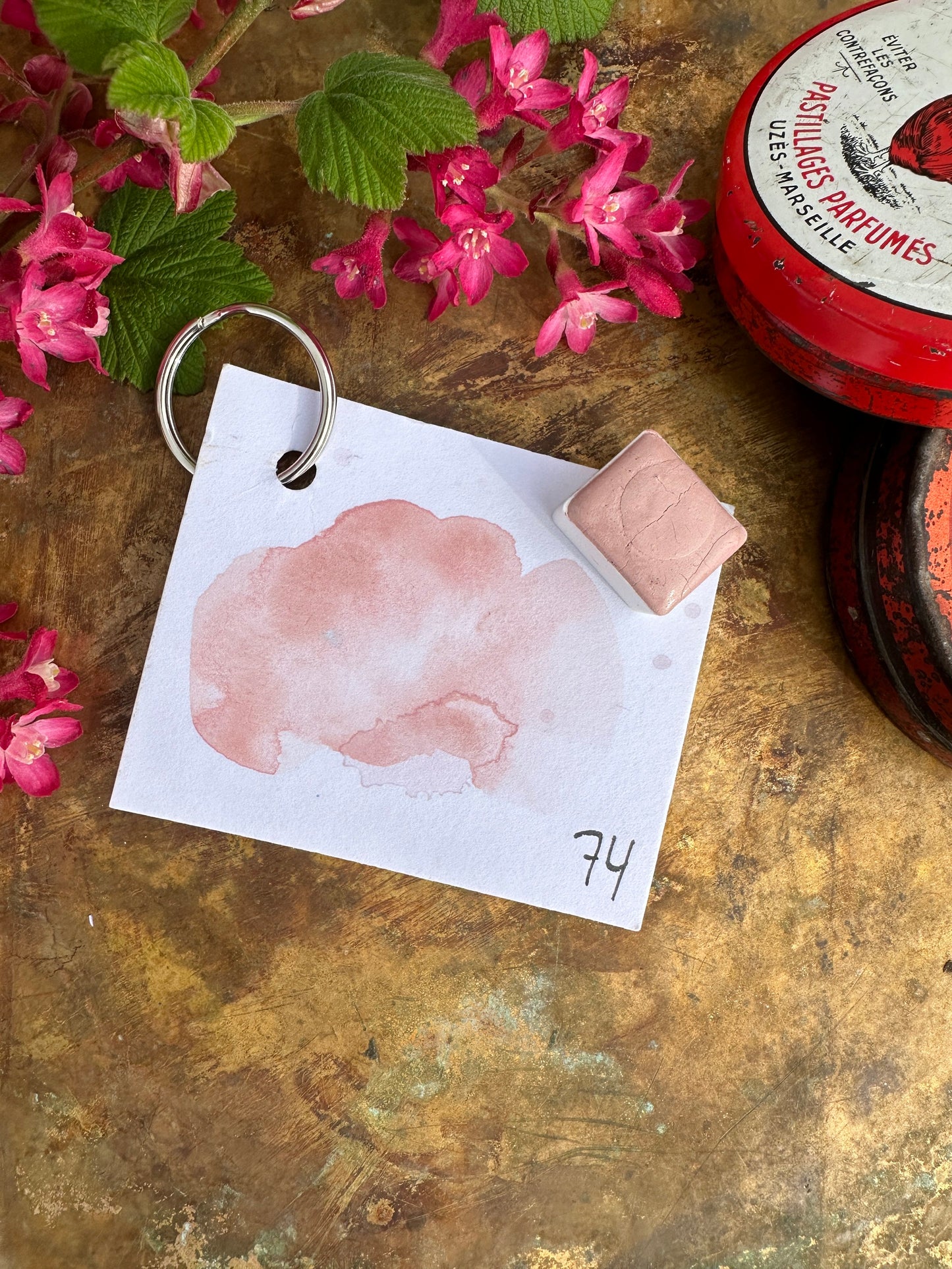 Whispering Rose - no. 74-SQ1604564