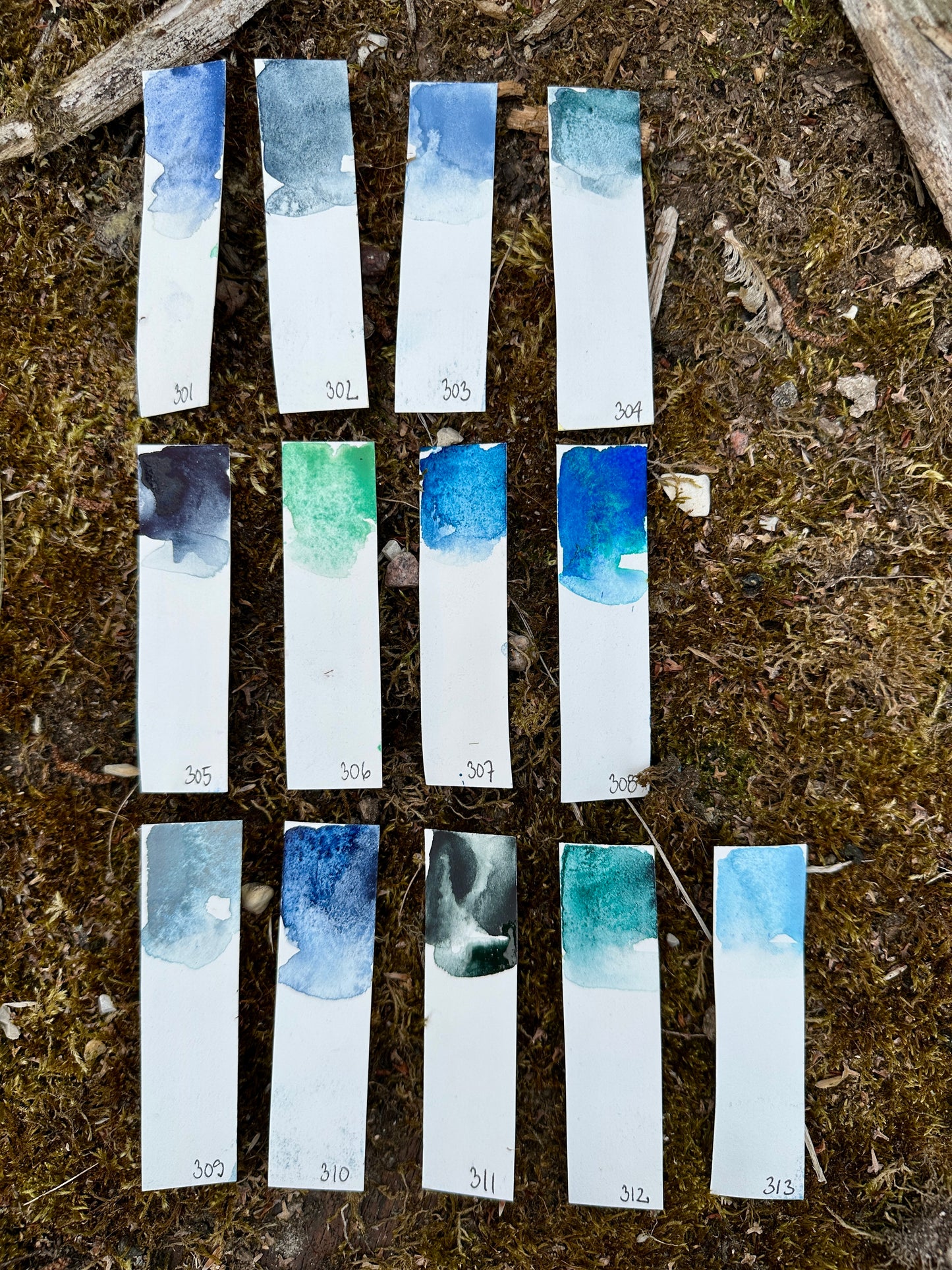 The Blue Palette of Time 2025