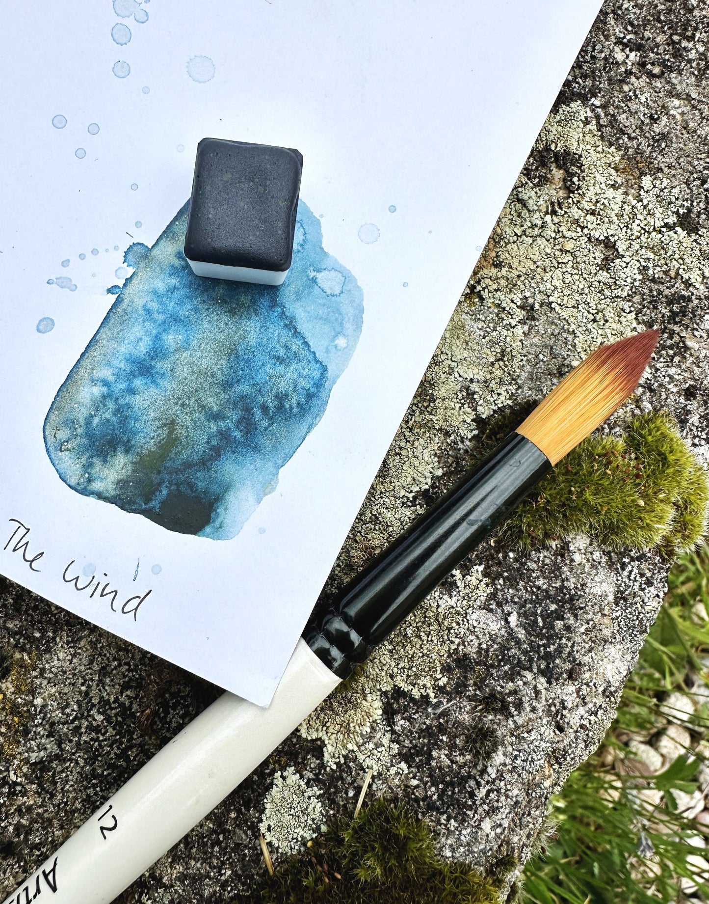 The Wave & The Wind - No. 242 & 243 - halfpans