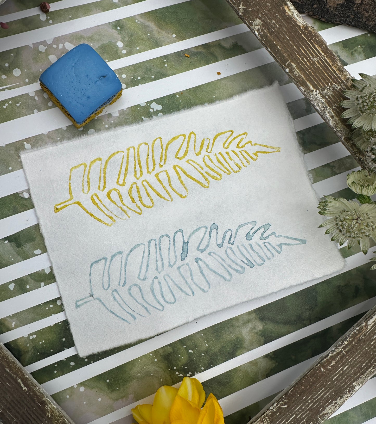 Color Cube Grande, Signal & Pulse - CC37/CC42