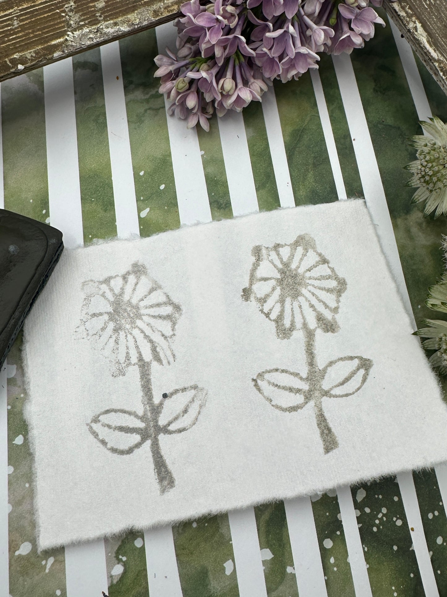 Color Cube Grande, Olive Ash & Driftwood - CC28/CC33