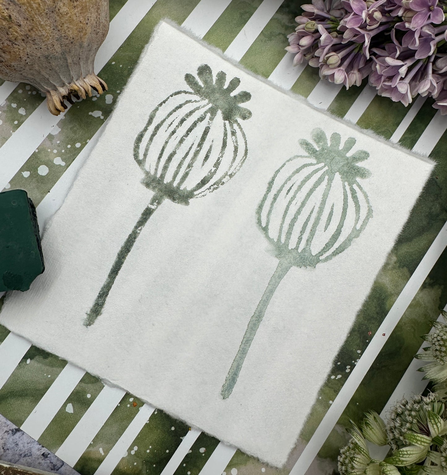 Color Cube Grande, Evergreen & Lichen - CC24/CC39