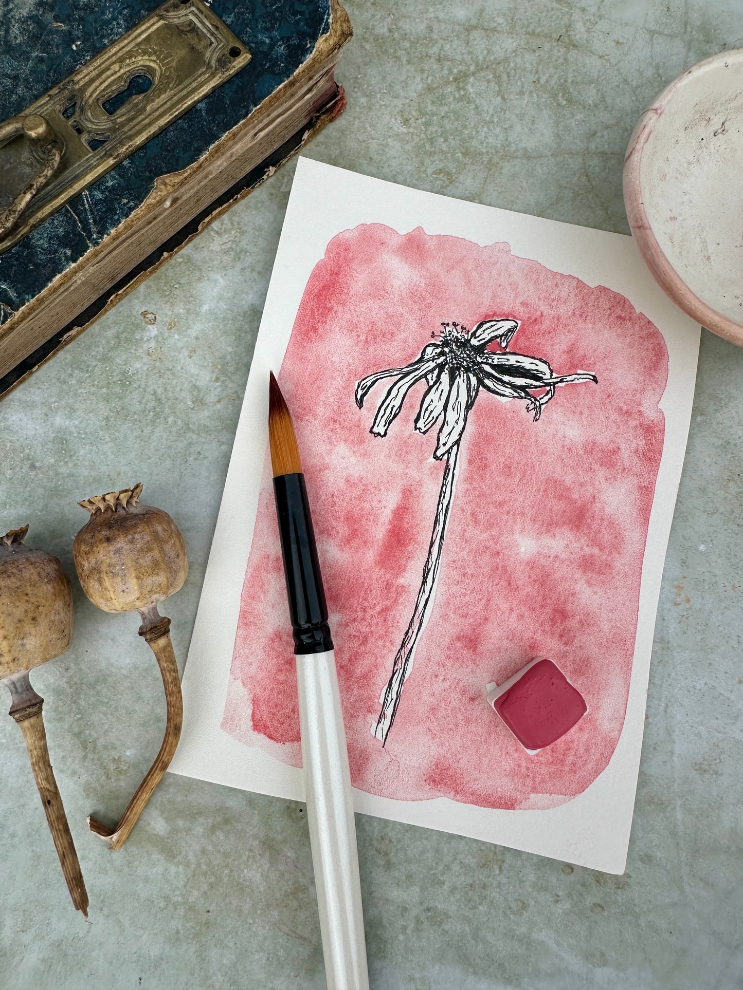 Bunny Bliss Coral - No. 230 - half pan