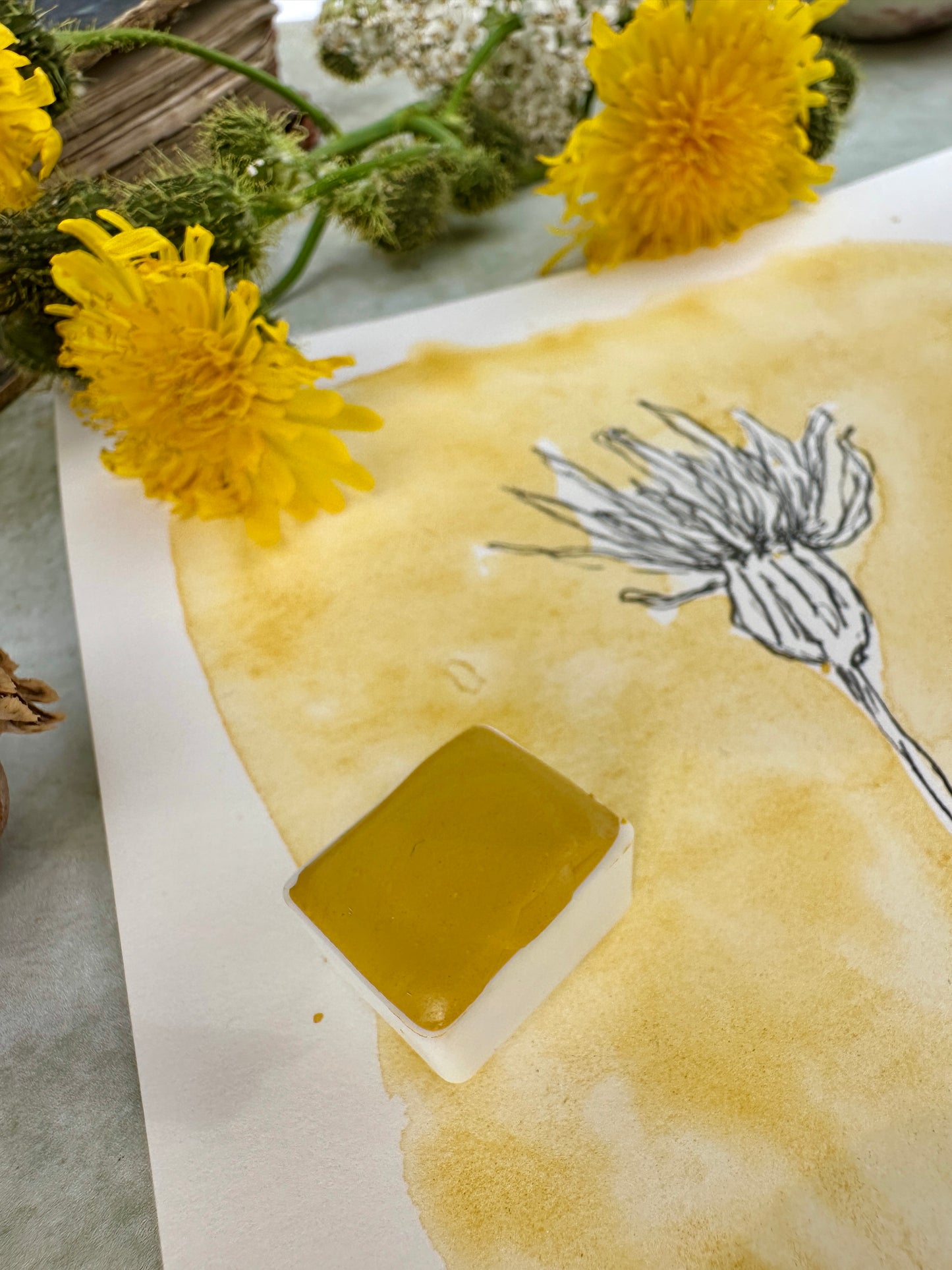 Duckling Parade - No. 228 - half pan