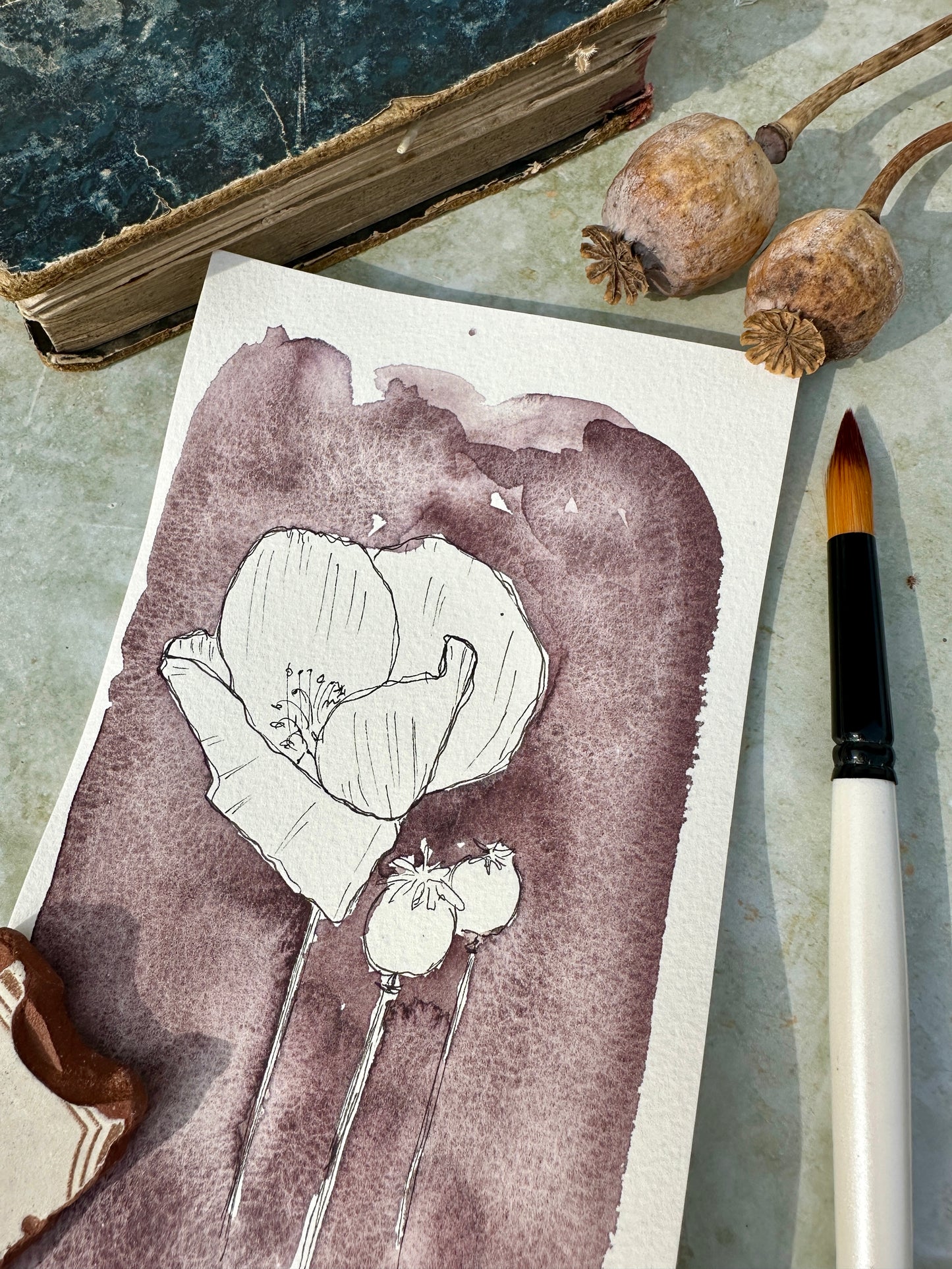 Kidney Bean Red no. 232 - halfpan