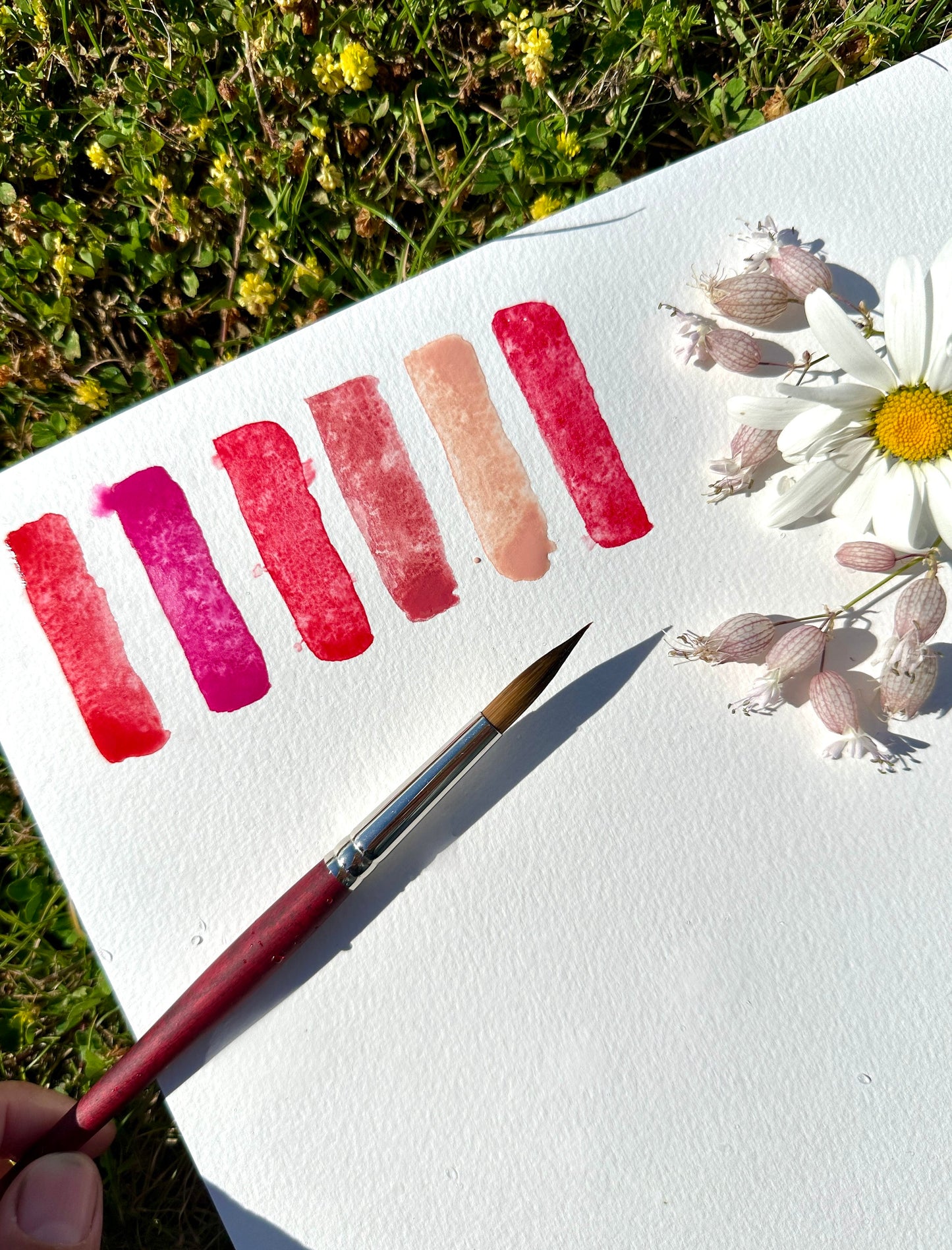Juicy Berries: A Collection of 6 Delicious Red Watercolors