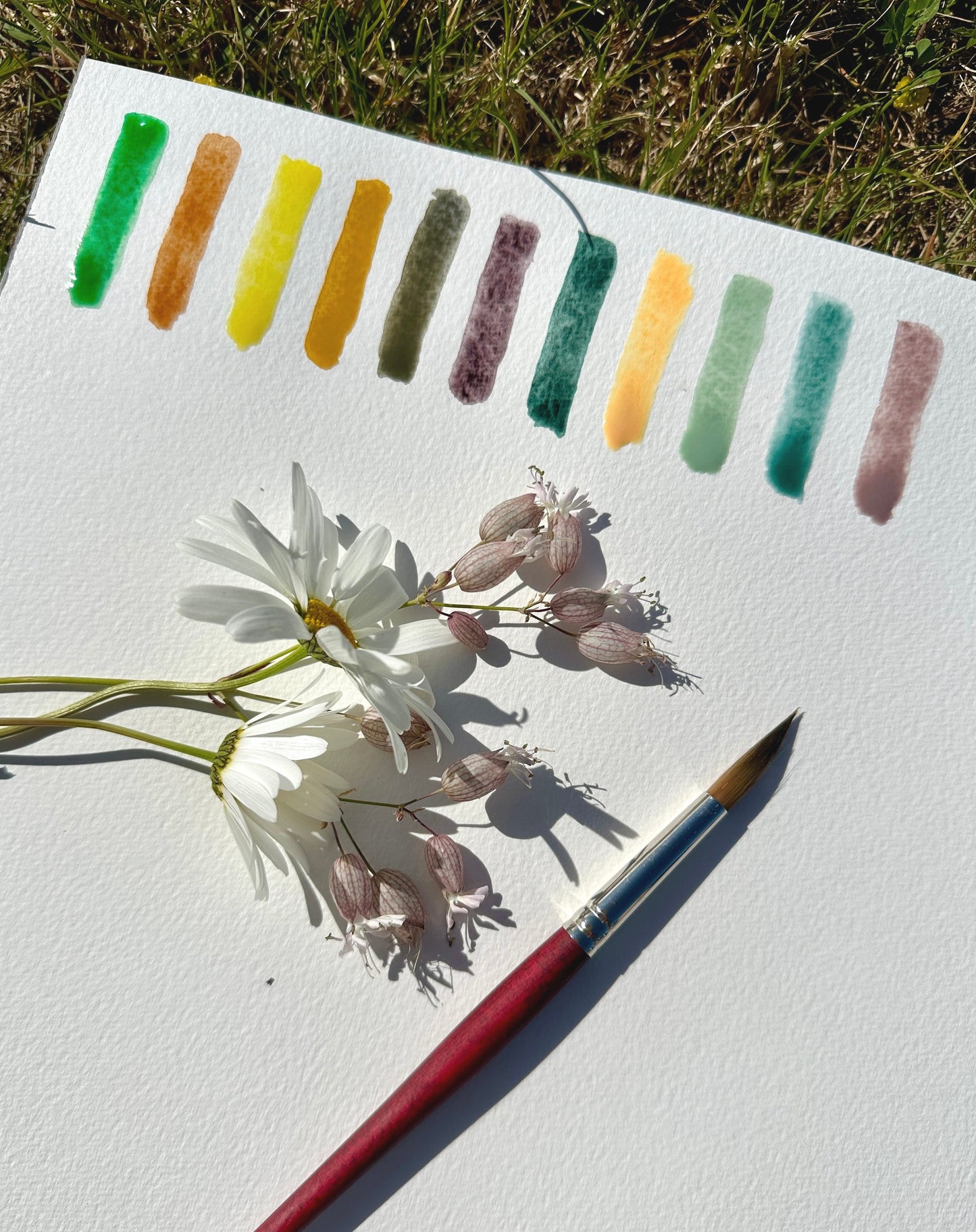 Summer Flowers 2024: A Collection of 11 Handmade Eco-friendly Watercolors