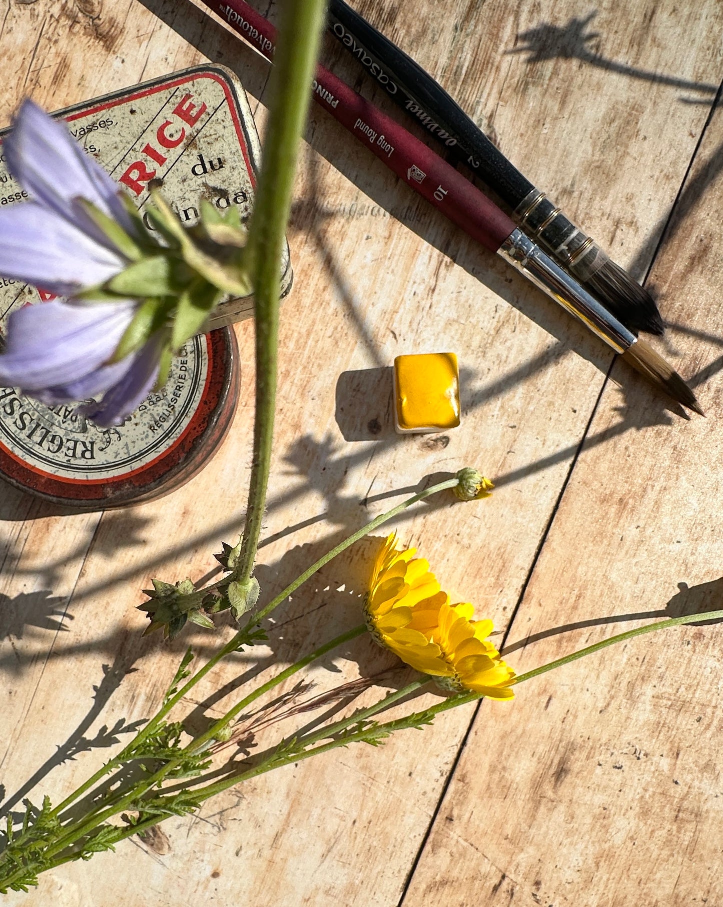 Cadmium Yellow 9 - No. 51