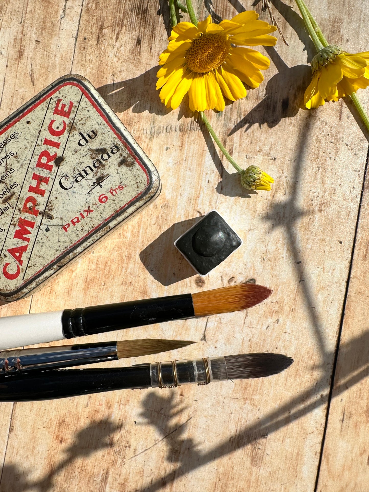 Mystic Pines Holo - No. 80