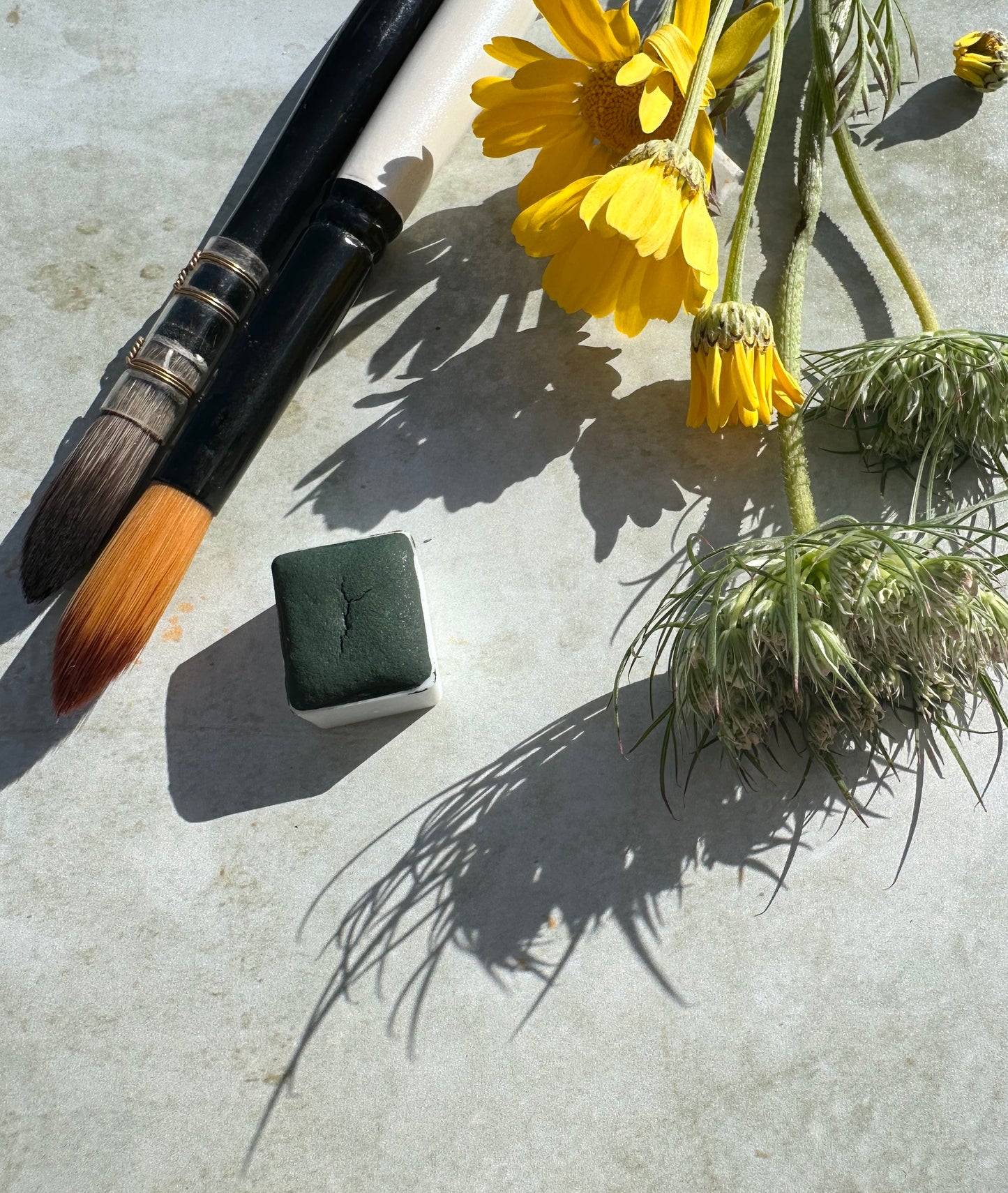 Deep Moss Green - No. 257