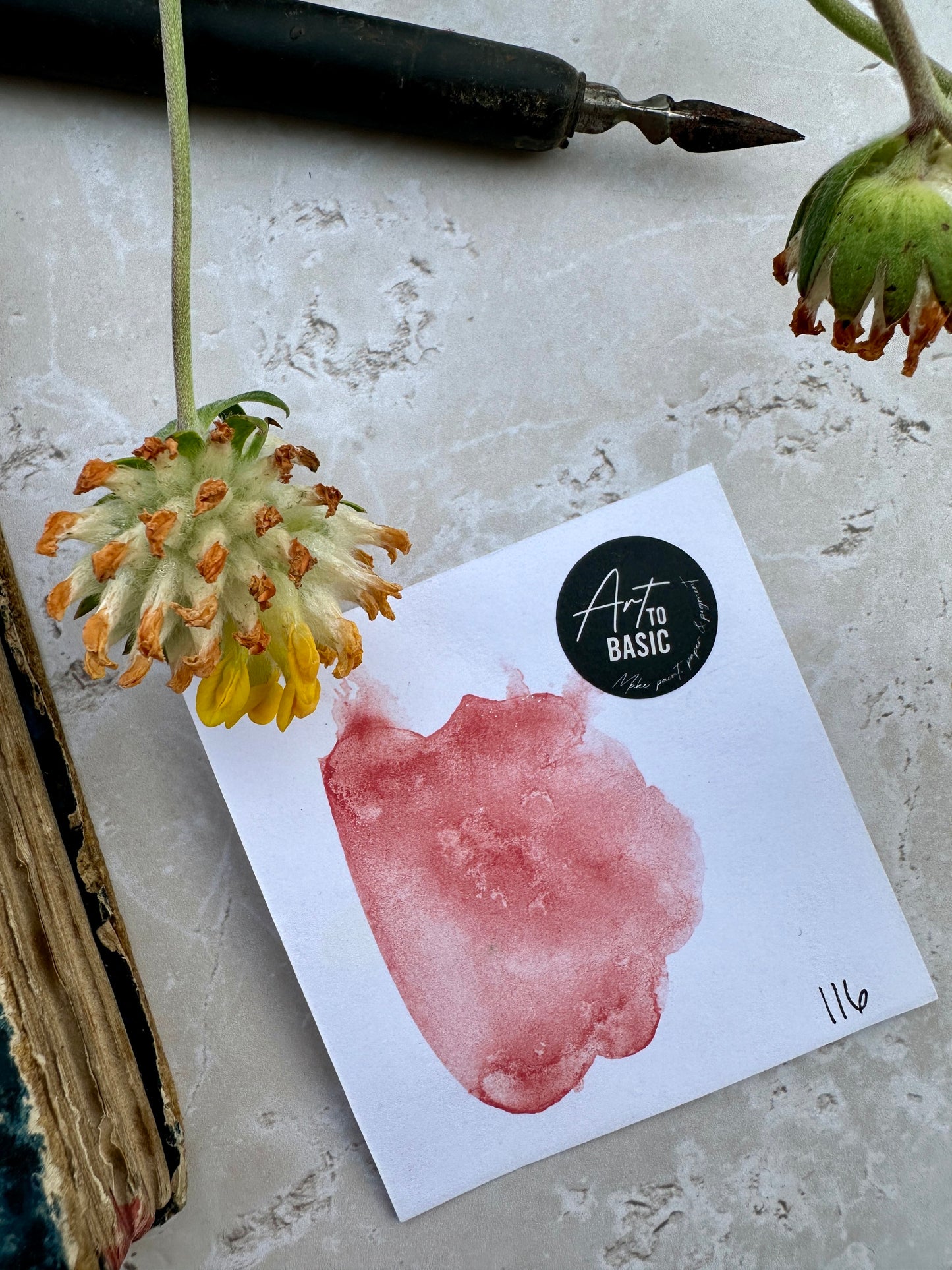 Coral Pink - No. 116