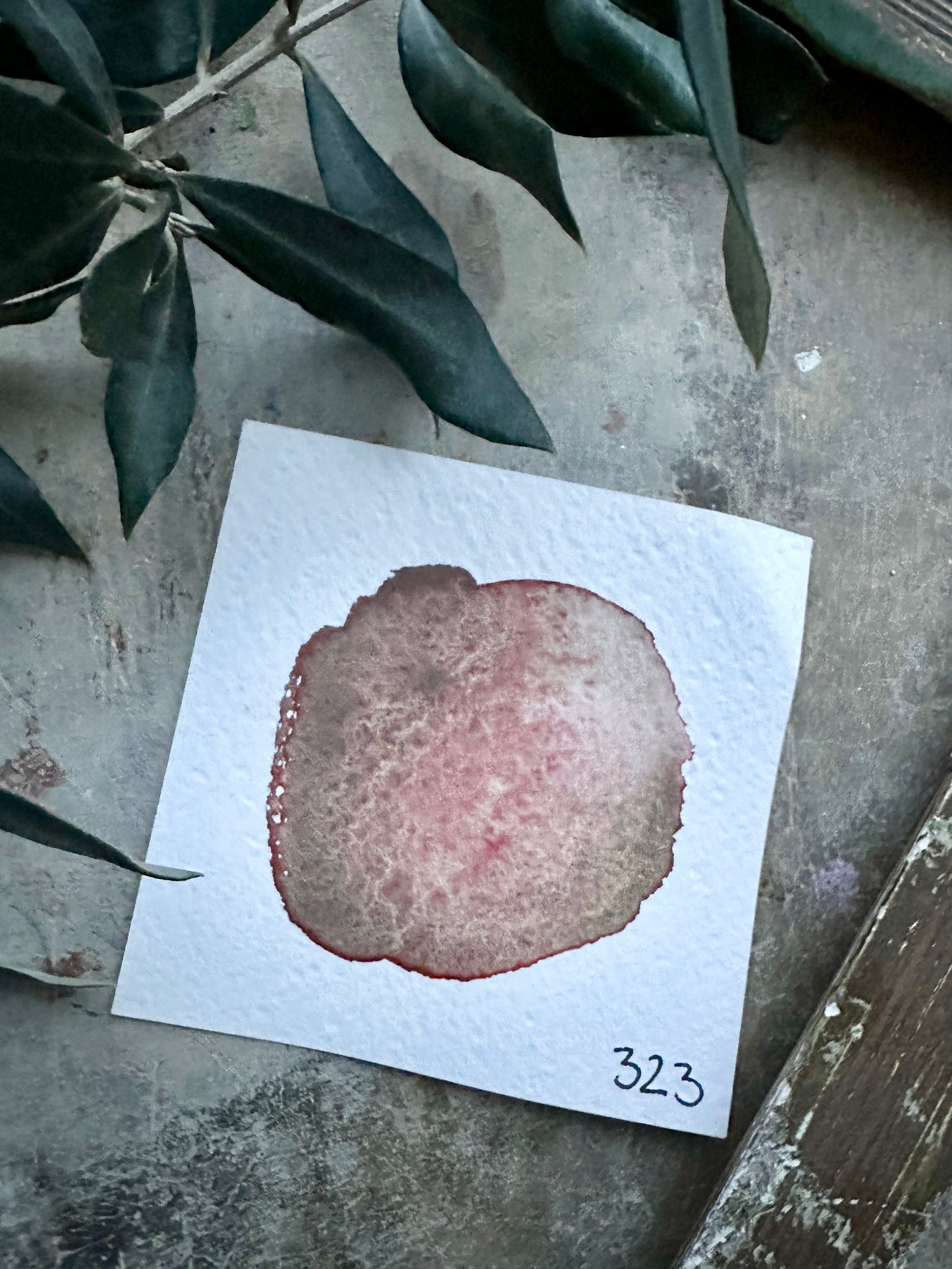 NEW - The Driftwood Memories Palette - no. 322, 321, 335 & 323