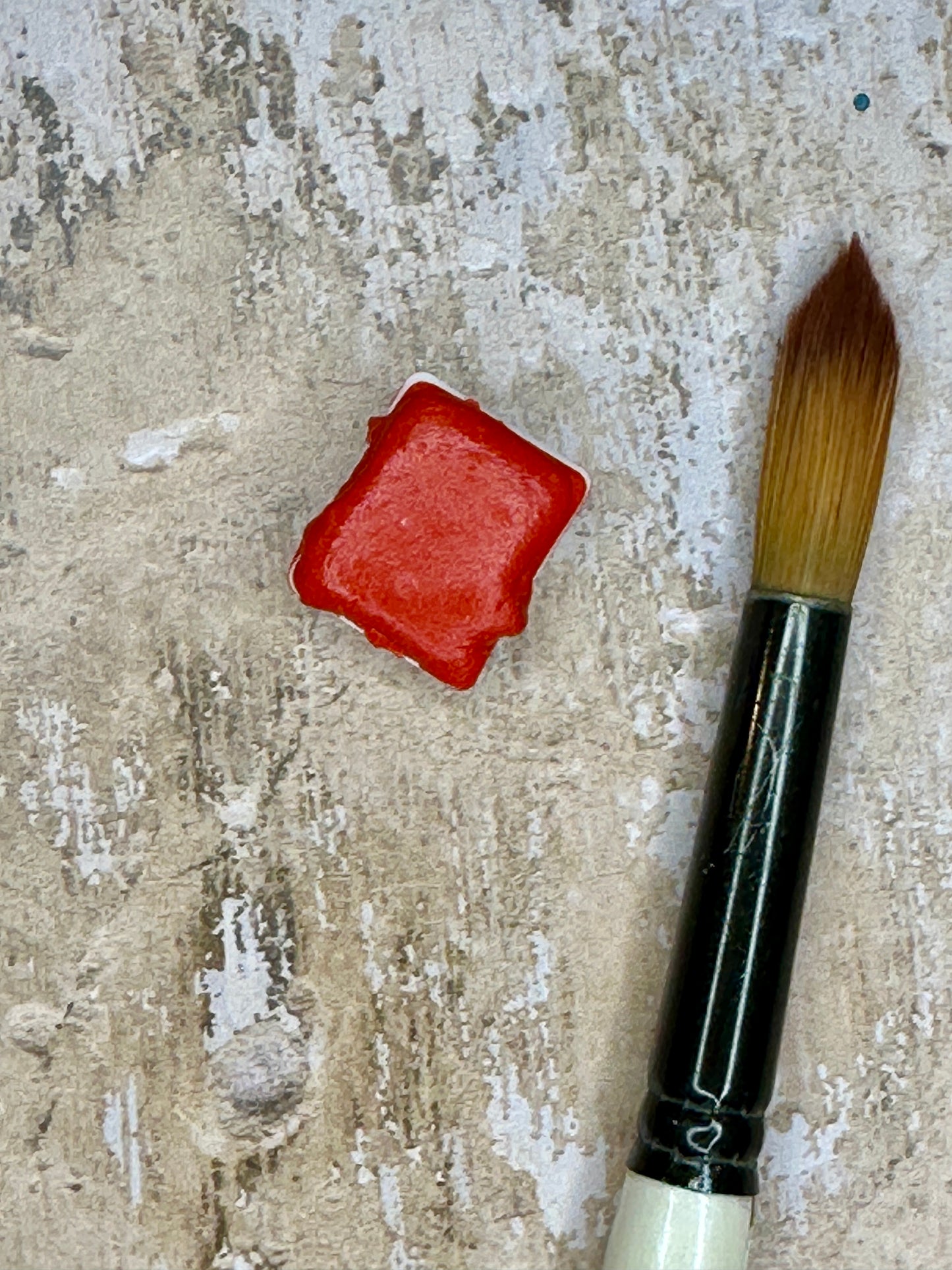 Rupicola Orange - No. 16