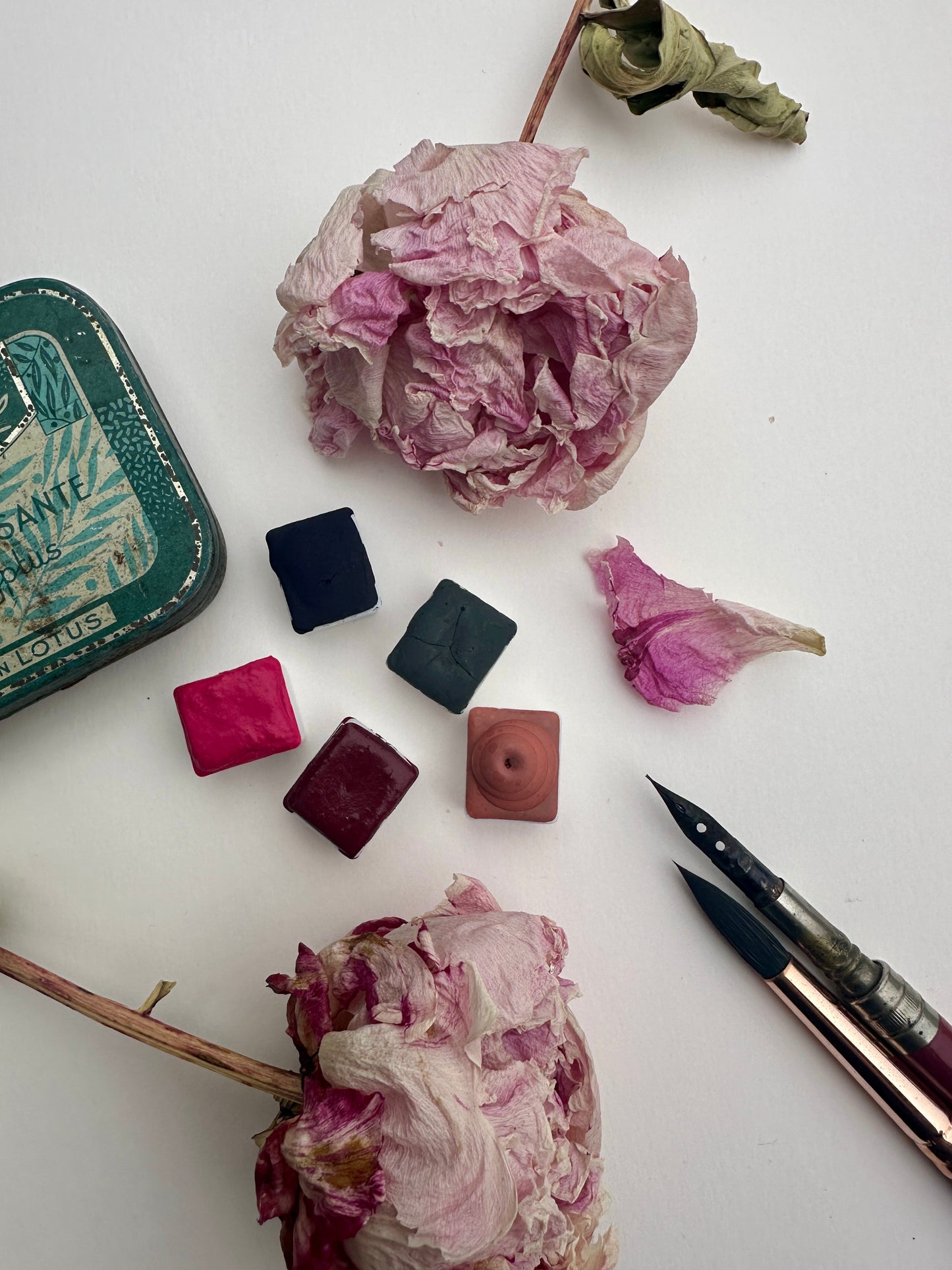 Most Loved Singles – 2024 Edition