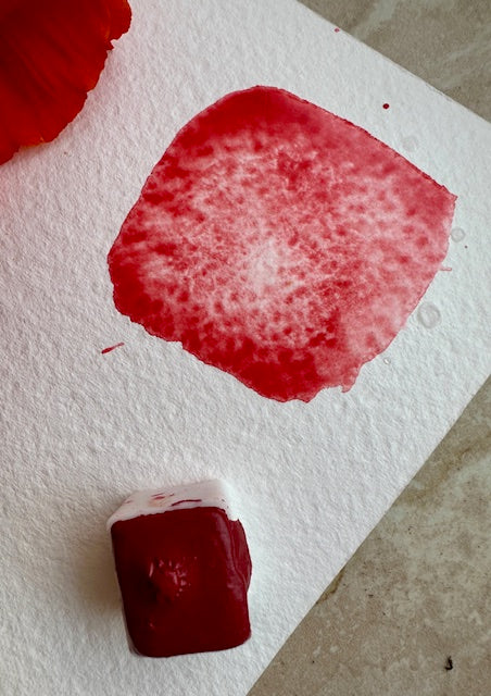 Red Nasturrtium - No.93