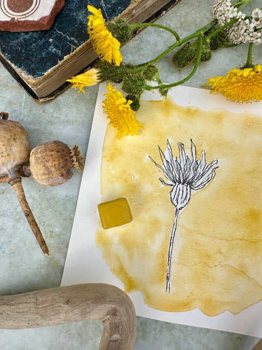 How to use watercolor pencils (even if you prefer paint)