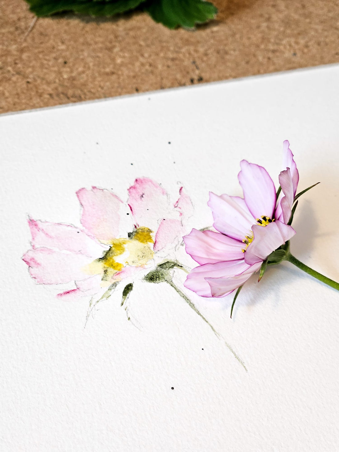 A beginner’s guide to getting started with watercolor