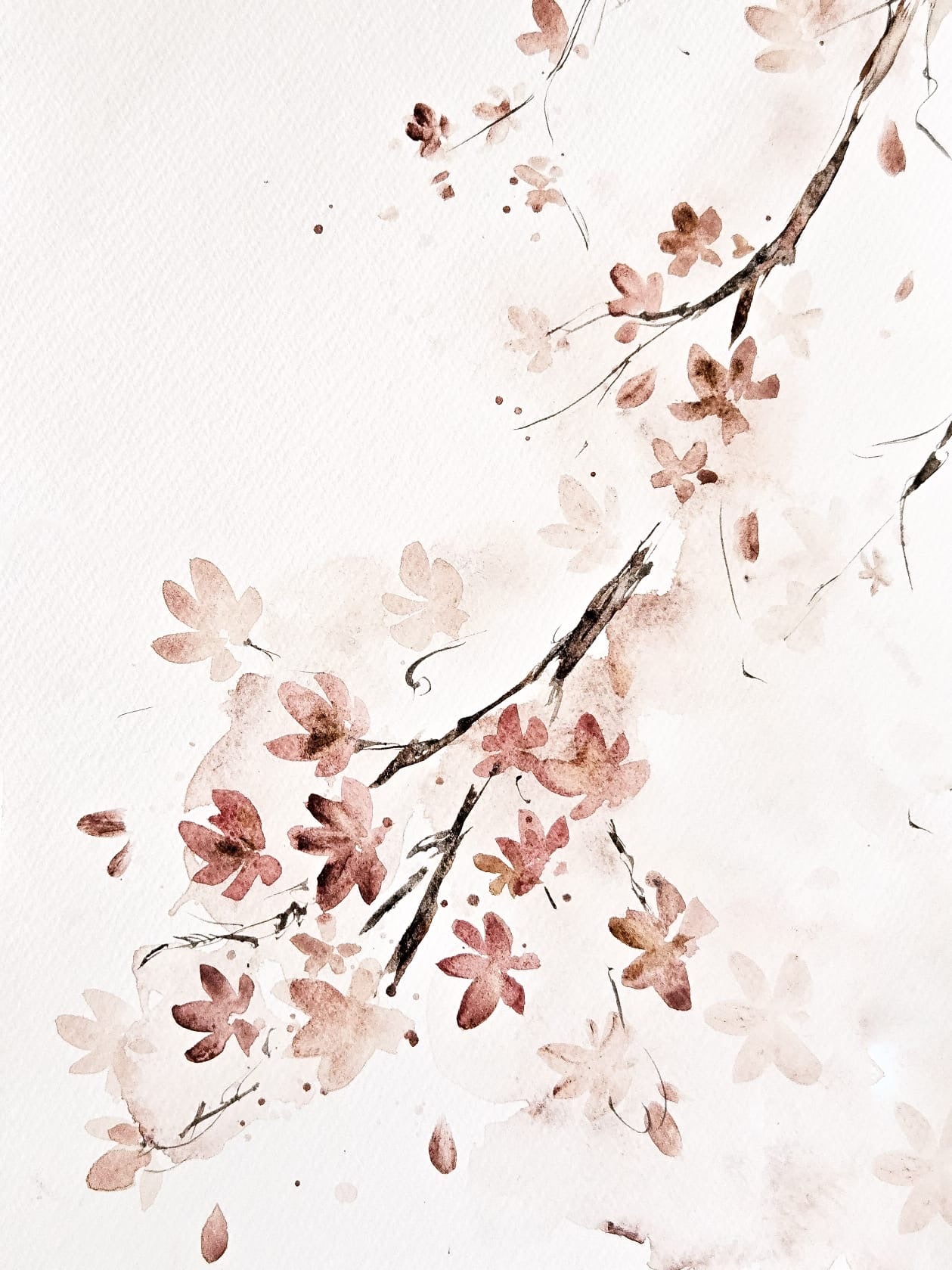 The Six Senses Palette by Emmeli Eek Christensen of @oak.and.paper