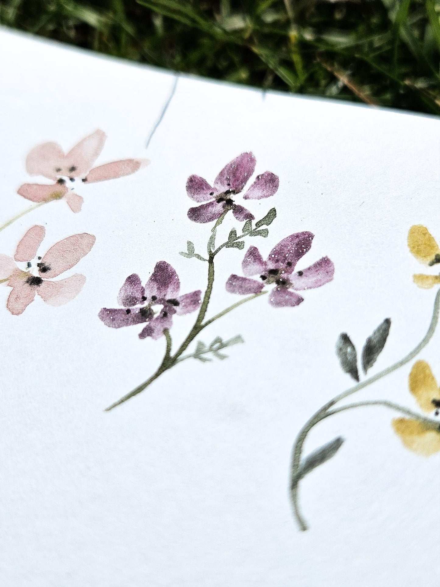 Summer Flowers 2025 - Öland