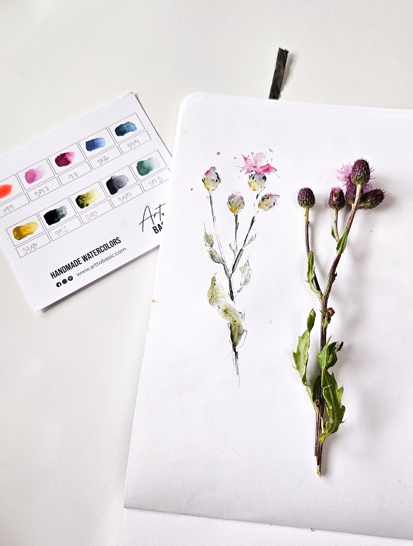 Summer Flowers 2025 - Öland