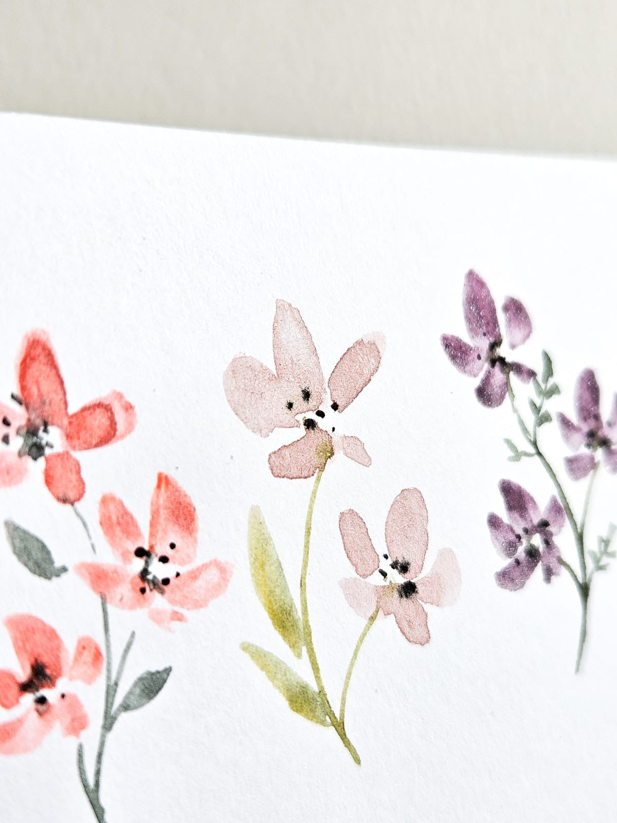 Summer Flowers 2025 - Öland