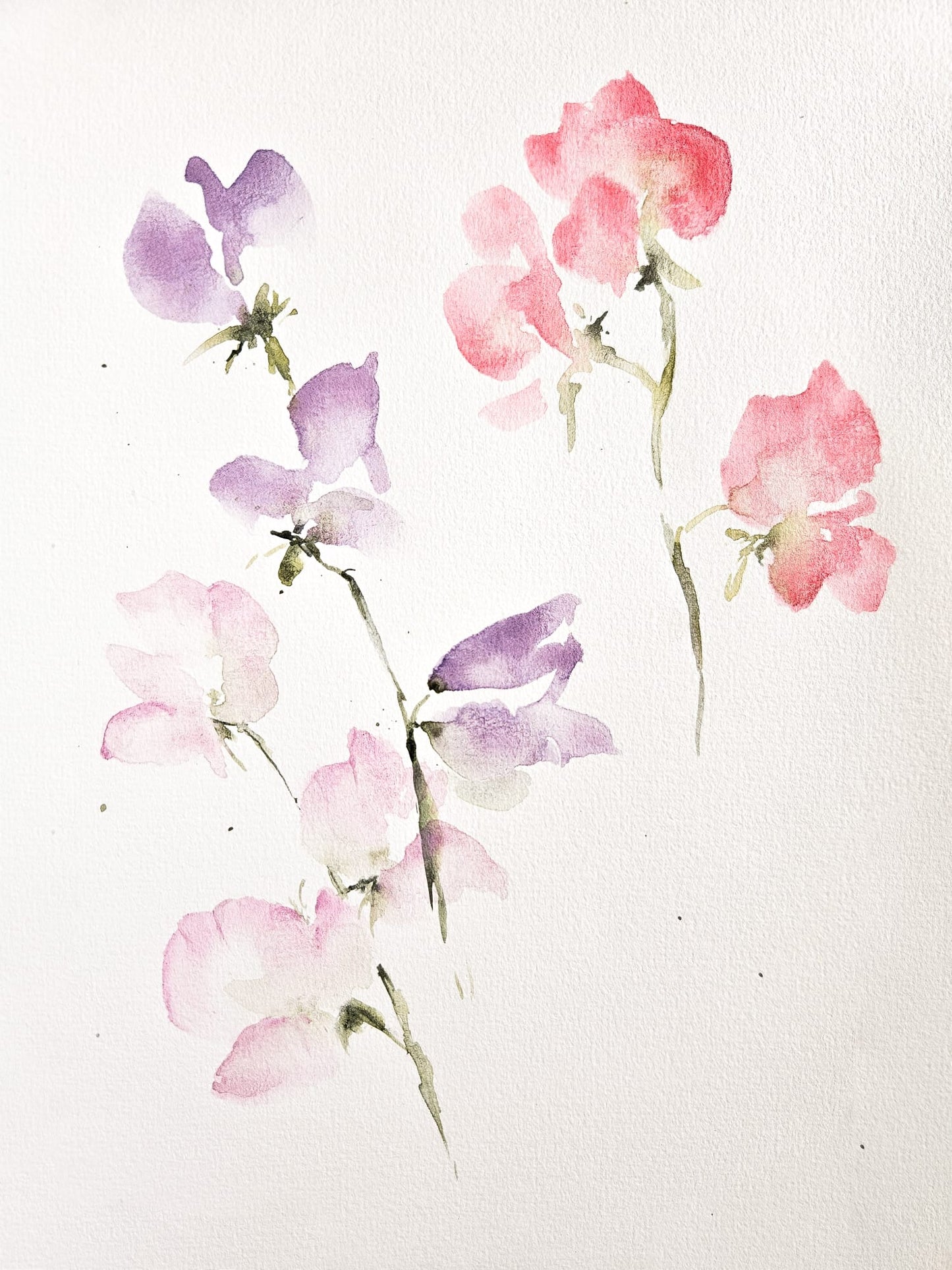 Summer Flowers 2025 - Öland