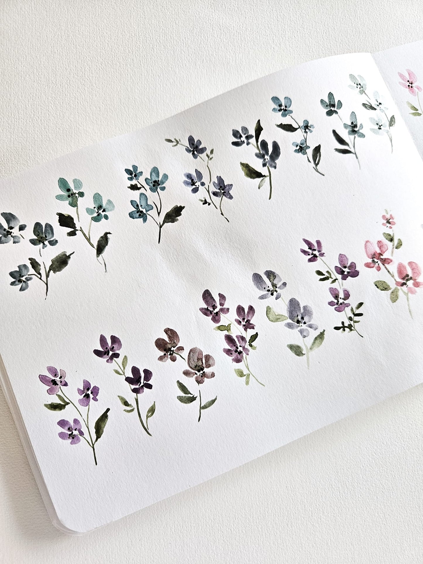 Summer Flowers 2025 - Öland