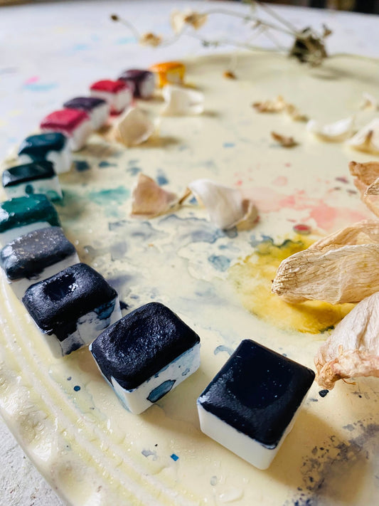 The Menopause Collection 2026