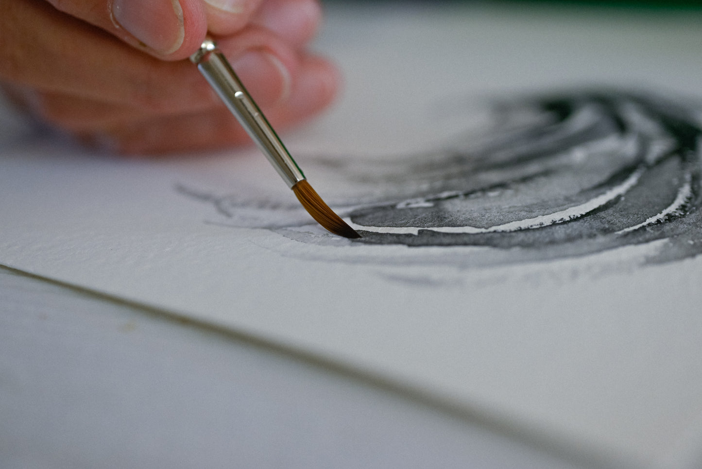 The Vine Black Ink Box - in Dutch