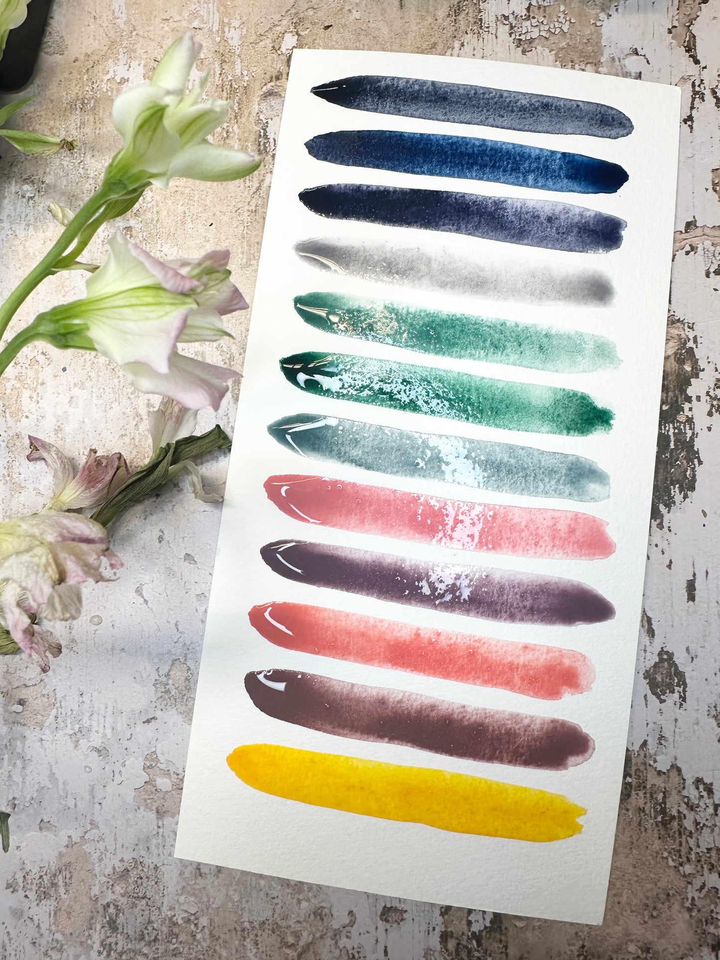 The Menopause Collection 2026