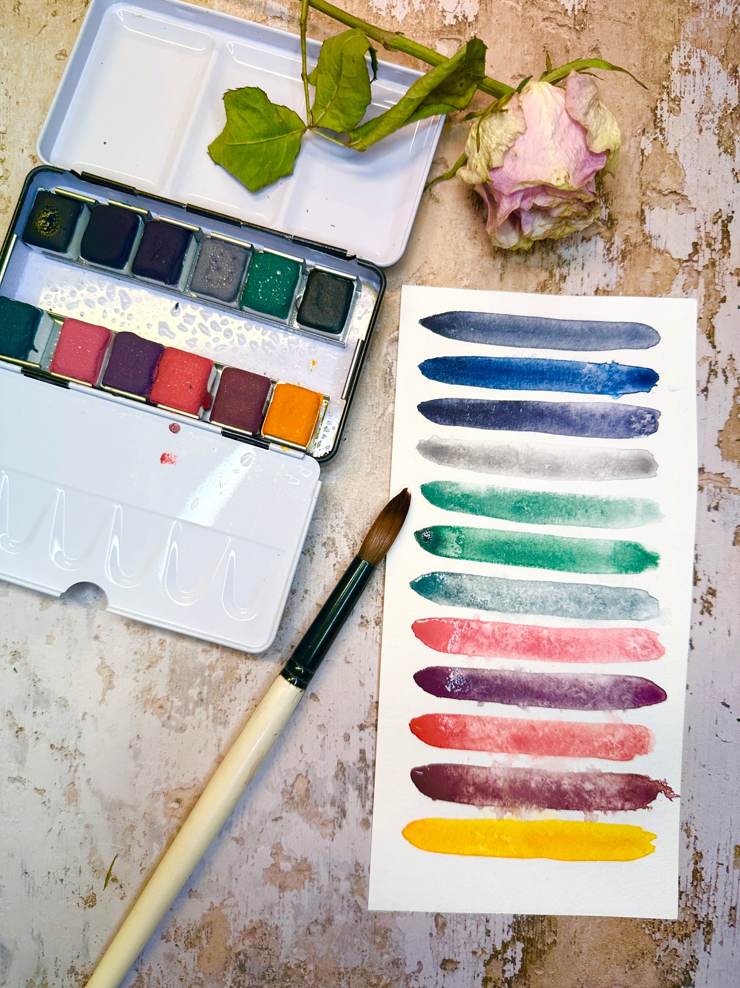 The Menopause Collection 2026