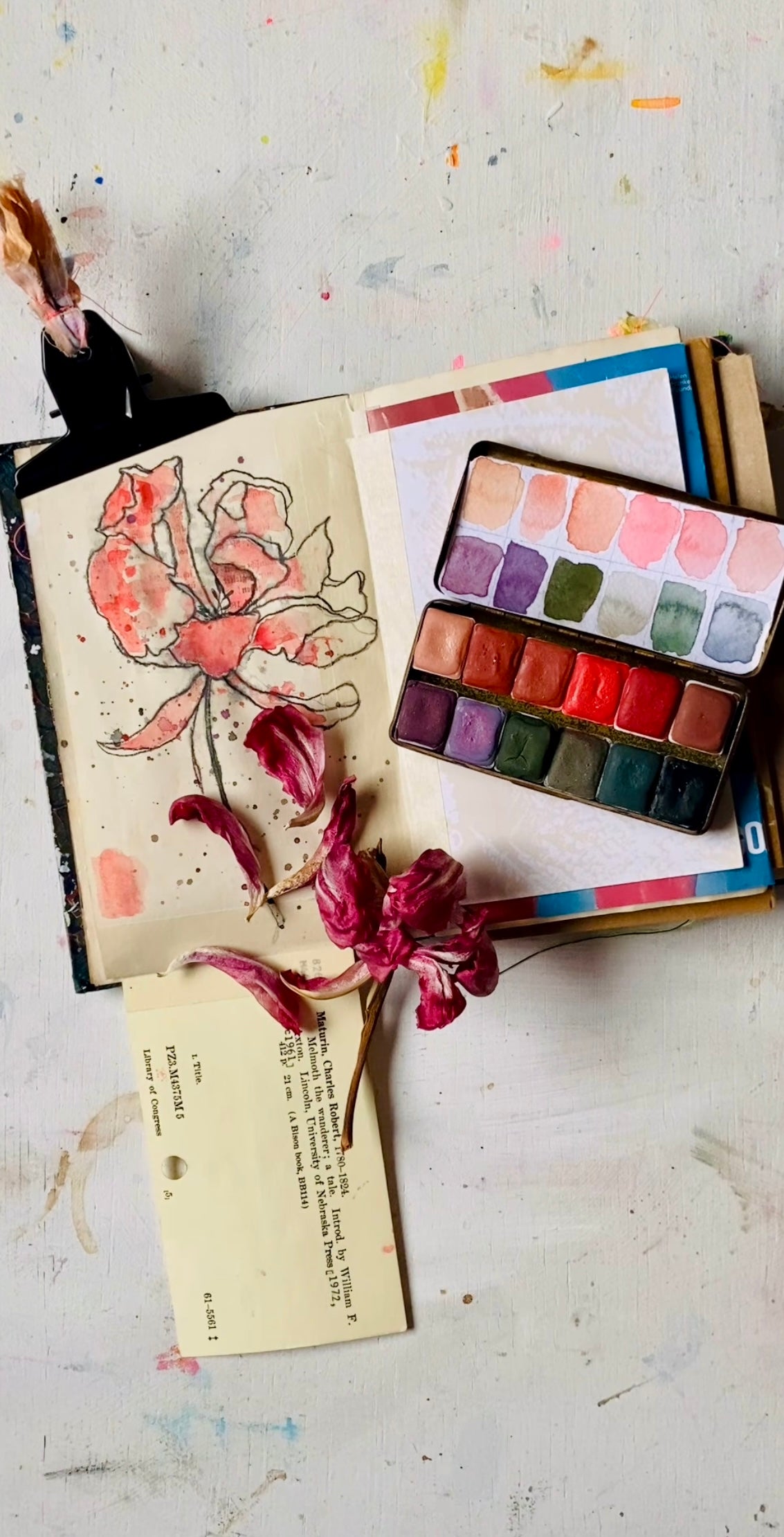 The Menopause Collection 2024 - Limited Edition