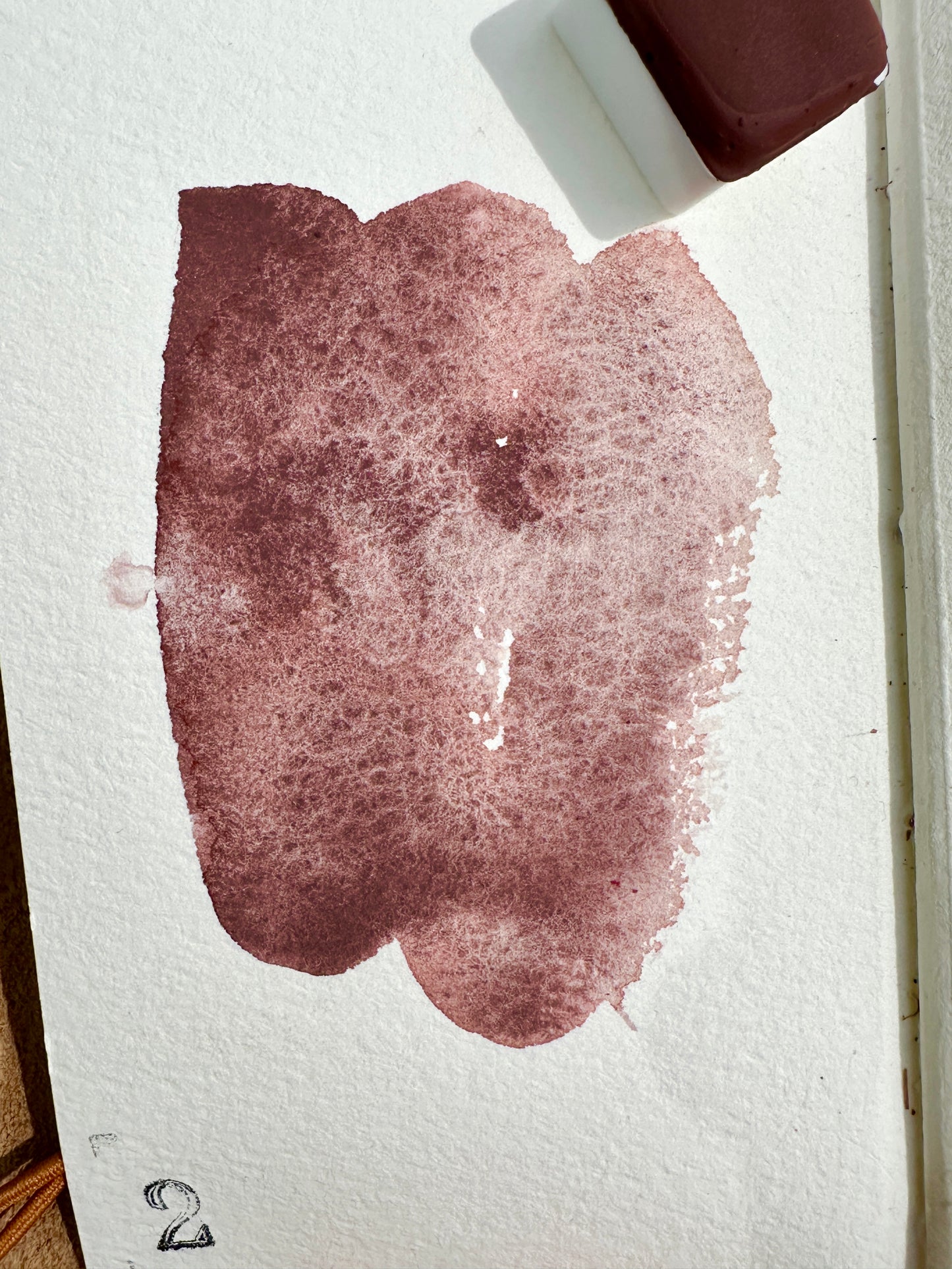 Caput Mortuum - No. 2