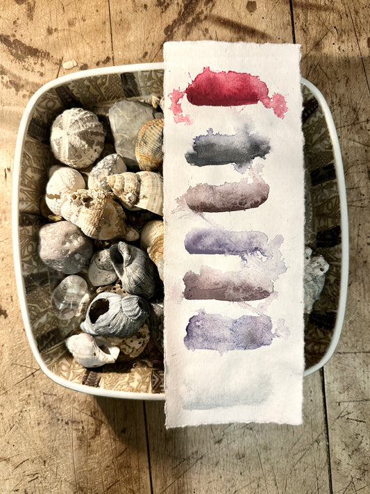 The Greenland Palette - Preorder. Limited Edition