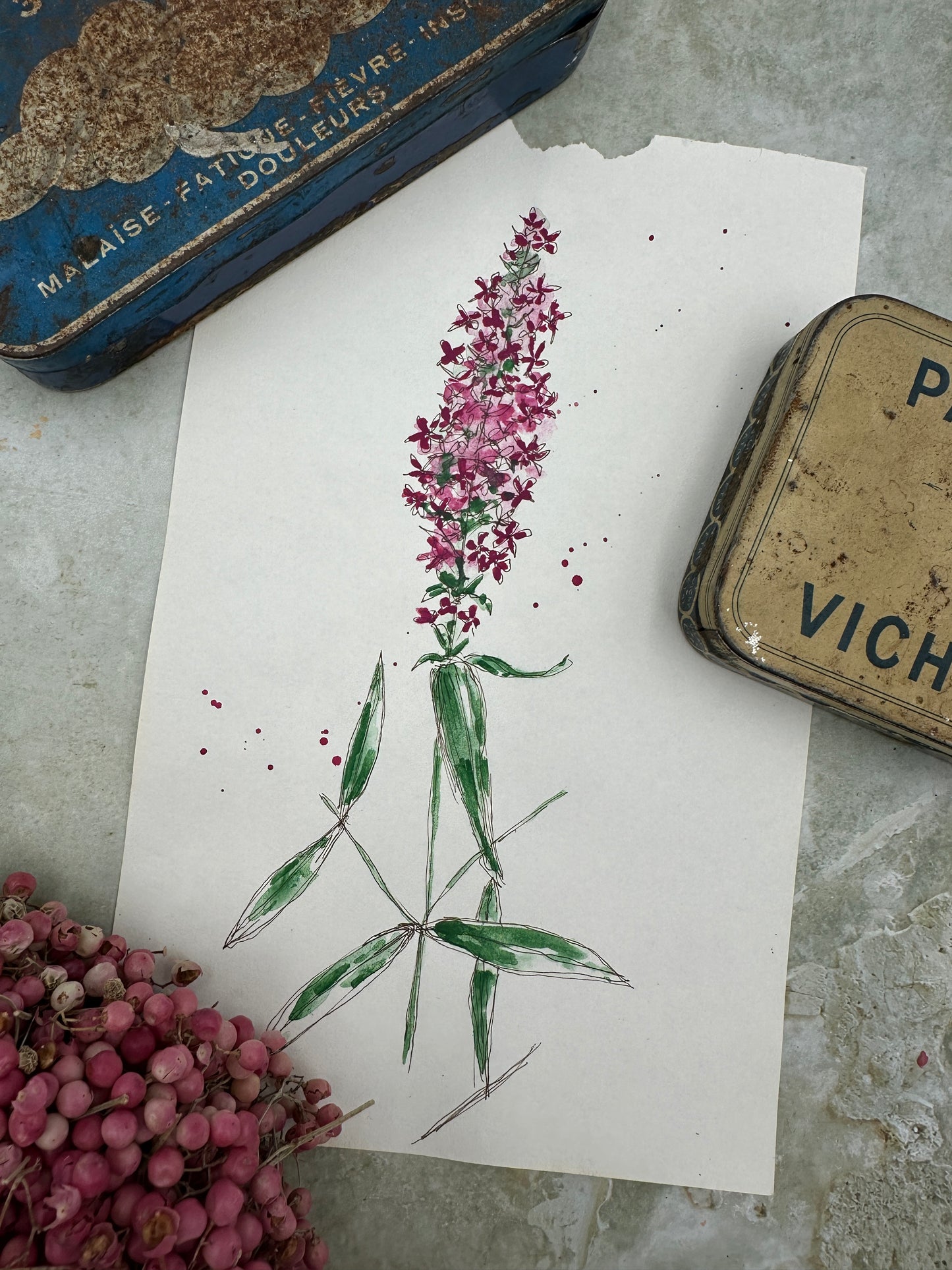 Rose Fuchsia - No. 7